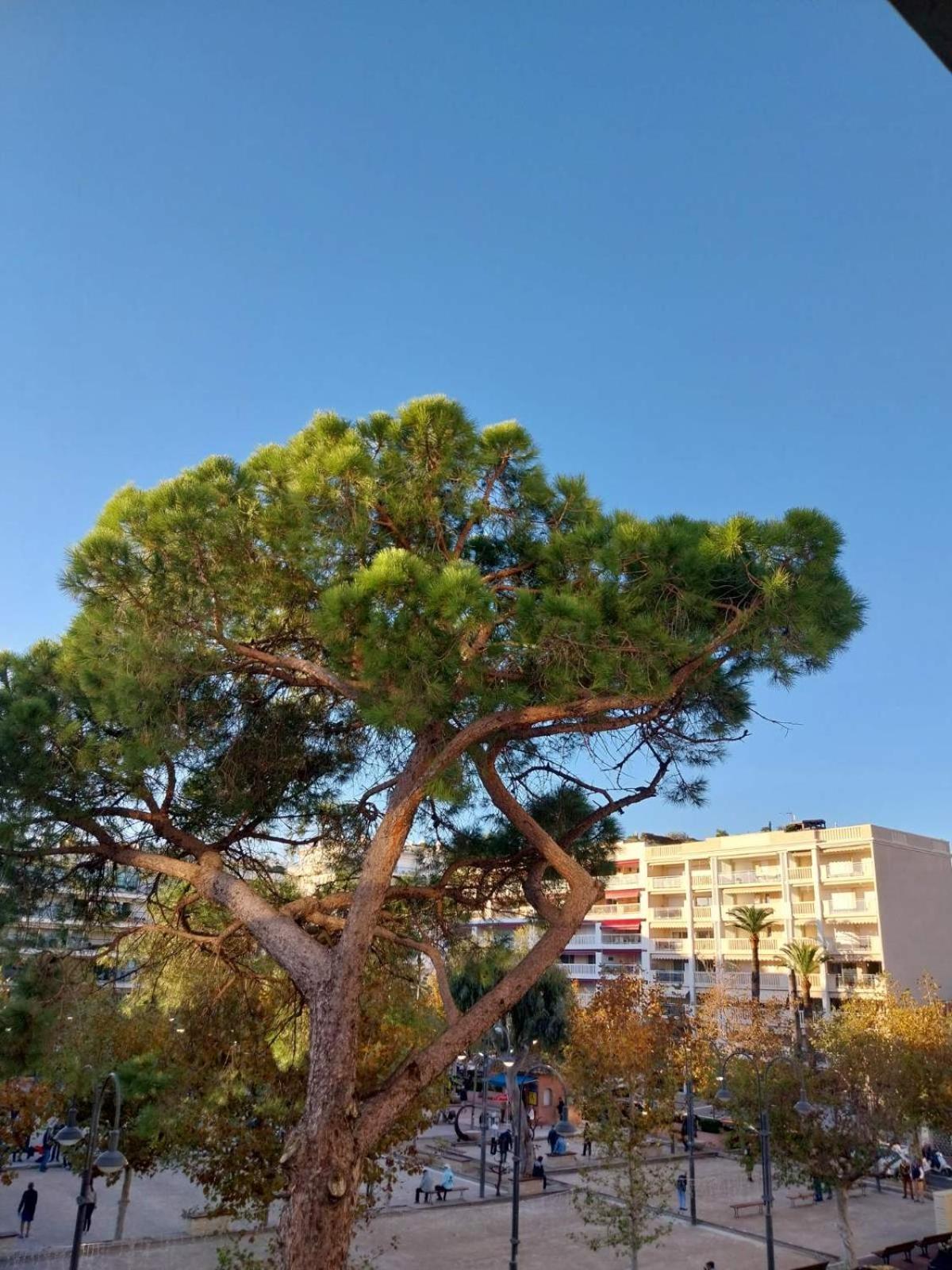 Palm La Brise Apartment *