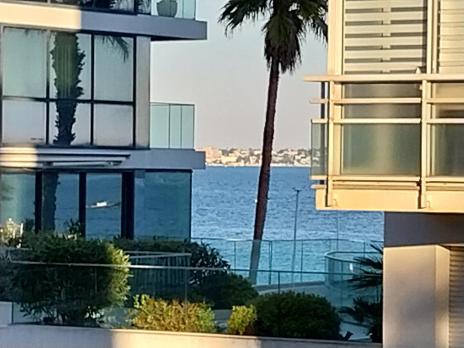 Palm La Brise