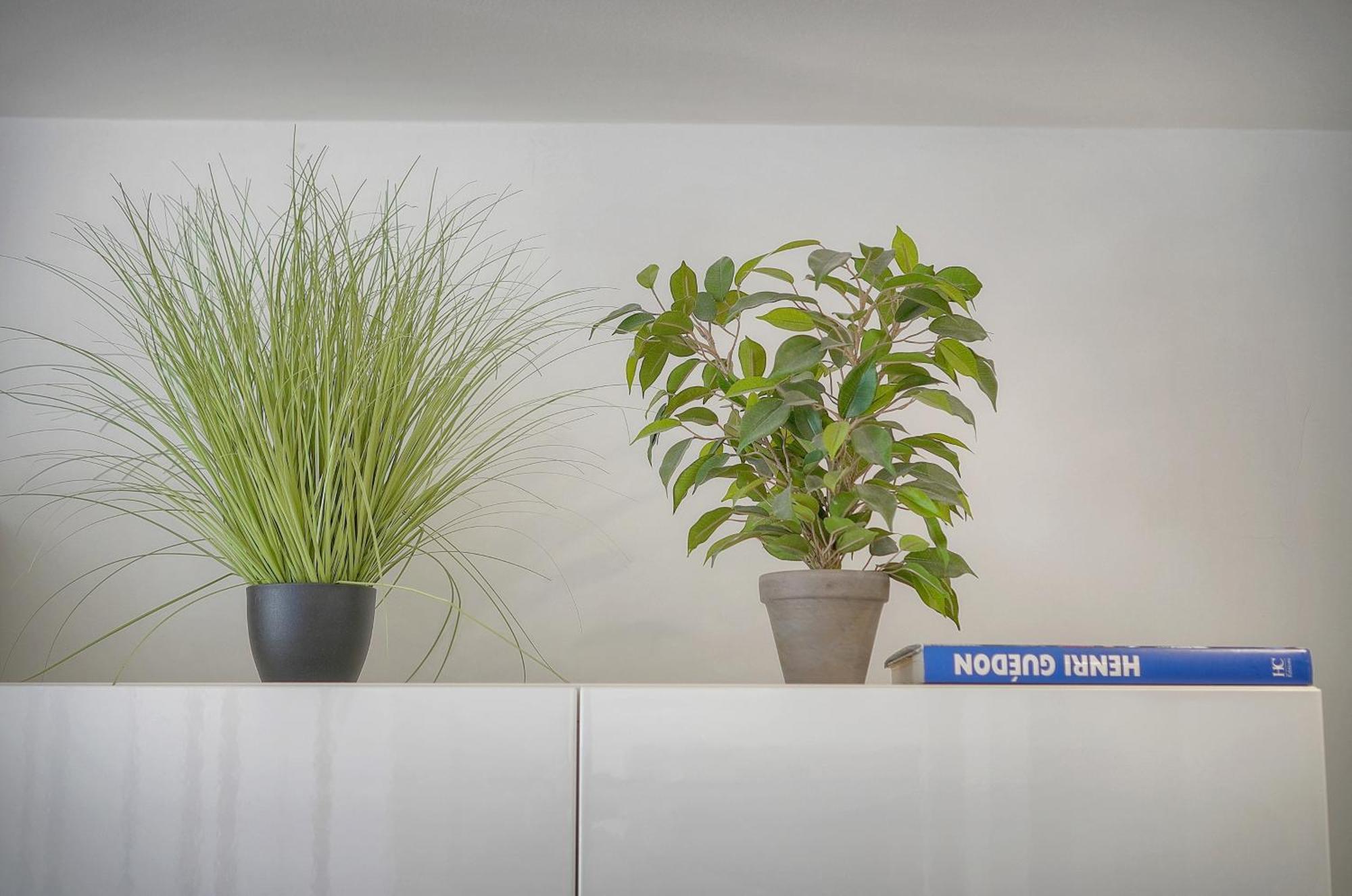 Apartment Le Nico - Elegant - Centre - Vca *