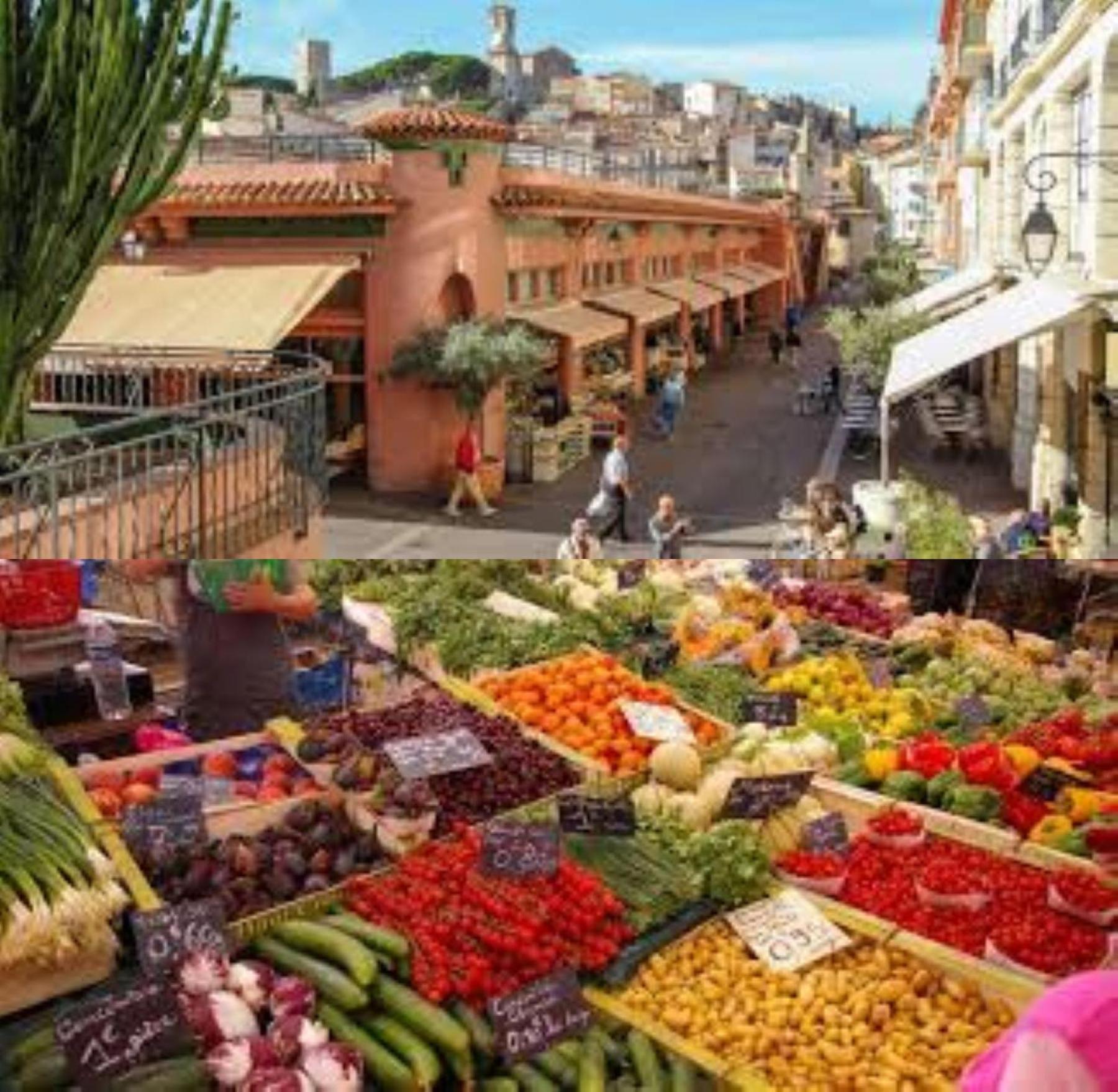Agreable Quartier Suquet-vieux Port A0b185 Apartment Cannes