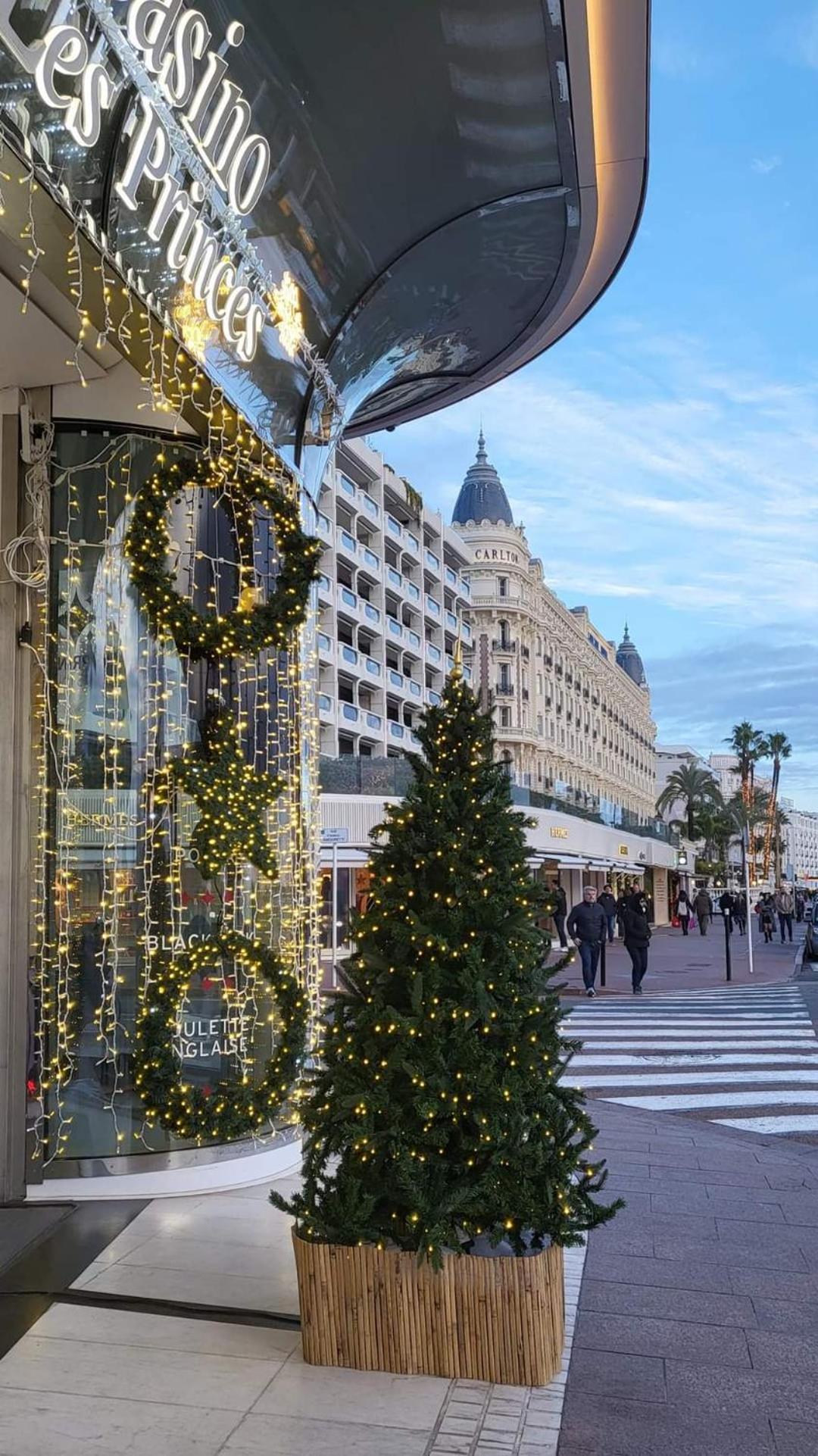 Apartment Superbe Art Deco Avec Roof Cannes