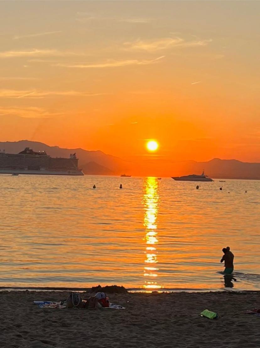 Petit Saint Croisette Apartment Cannes