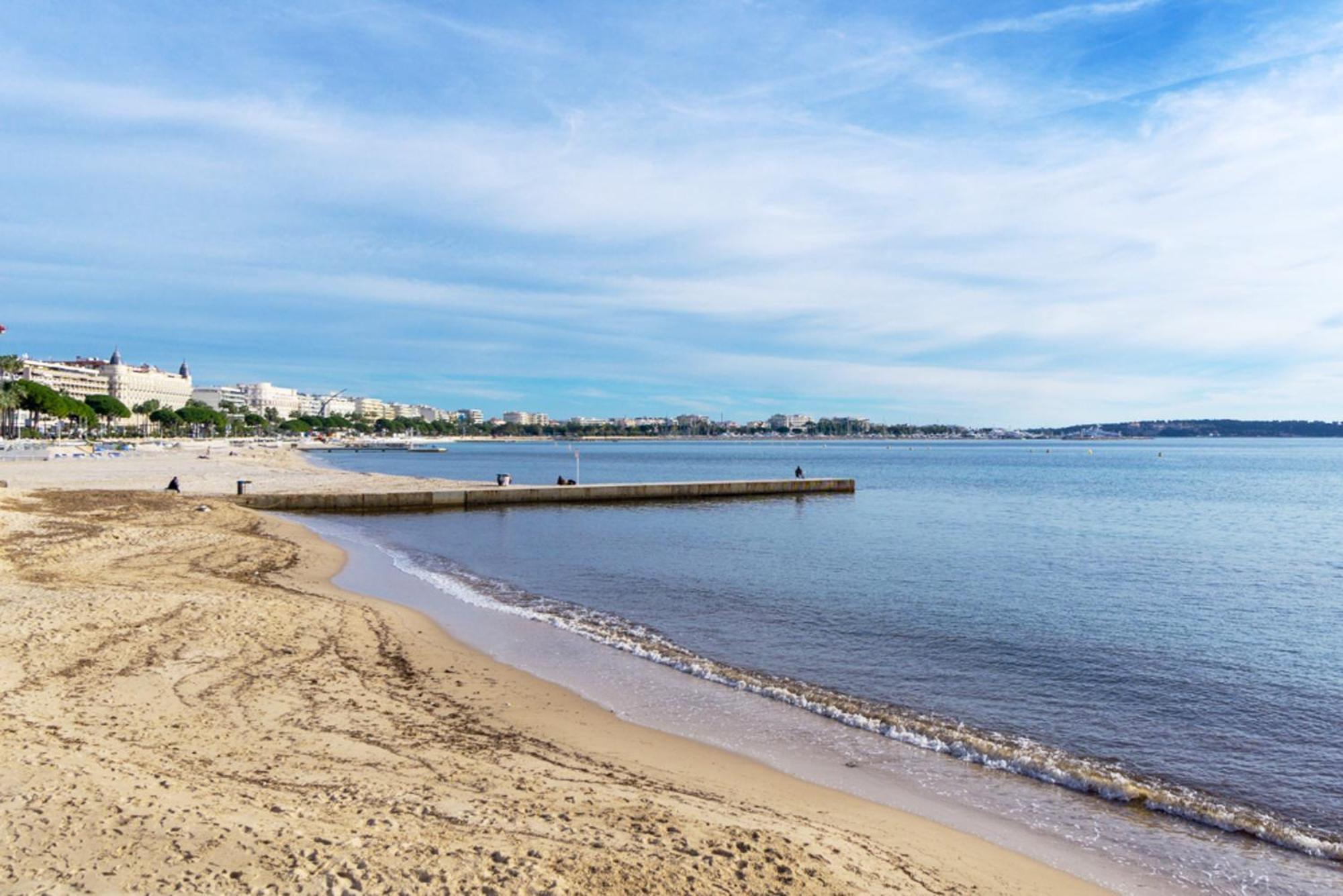 Stay-cannes- 1 Bedroom & Congress *