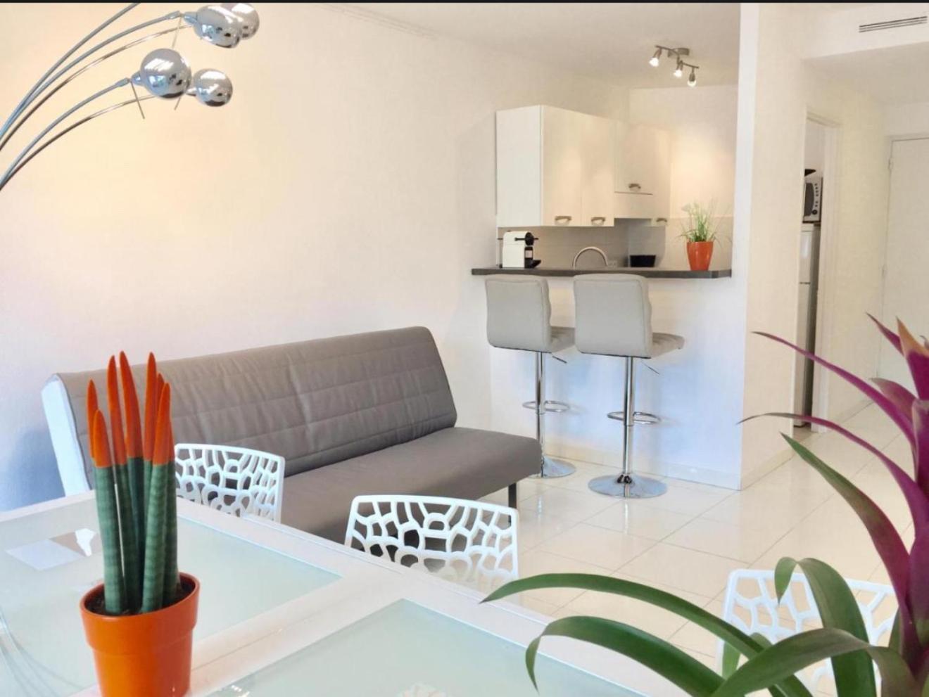 Croisette Sea & Sky Appartement *