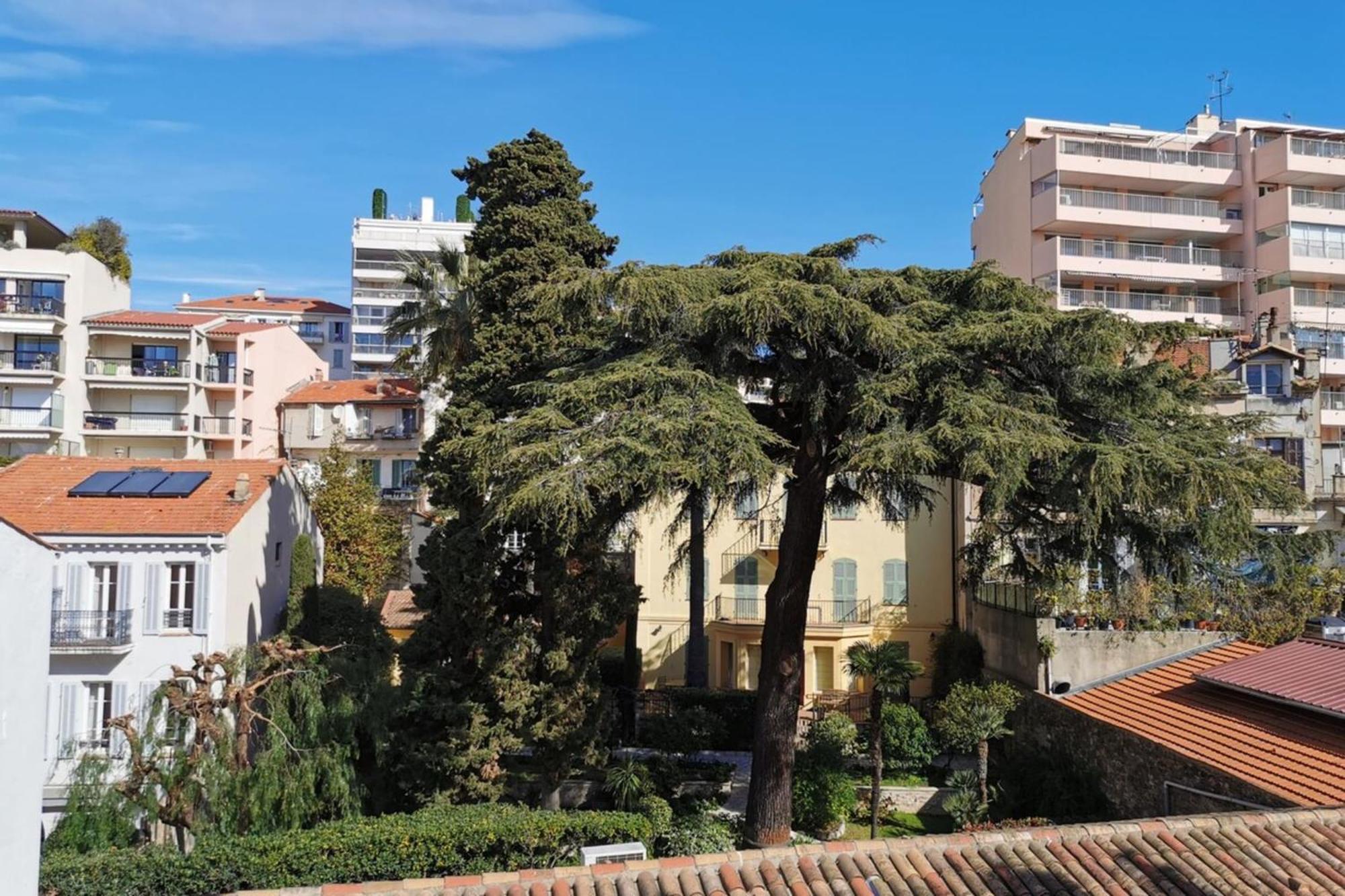 2 Bedrooms Meynadier At 2 Min Beach/palais Appartement