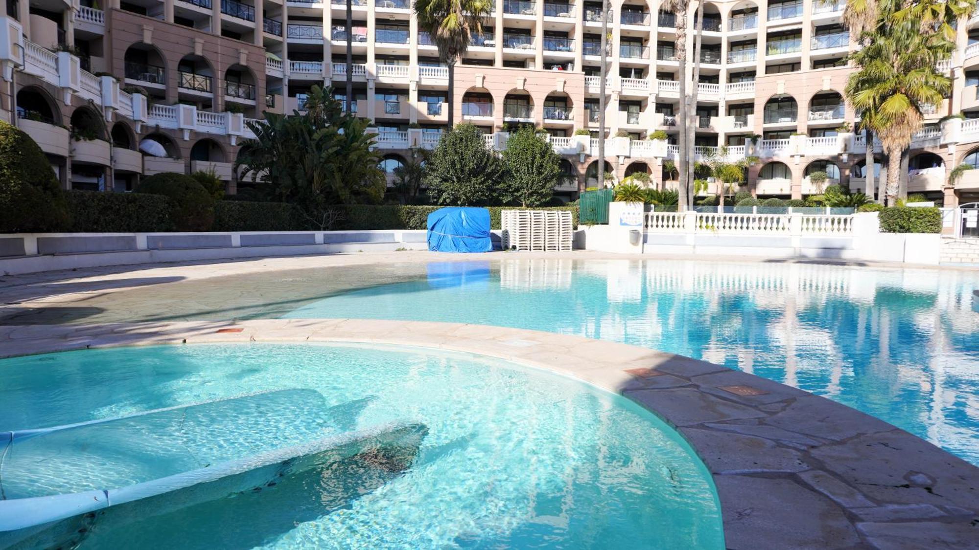 556, Vue Et Piscine By Palmazur *