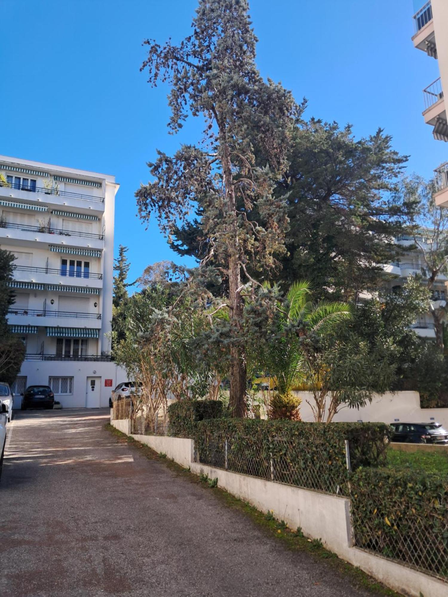 Apartment 4 Personnes Situe A 2 Pas De La Croisette Et Des Plages