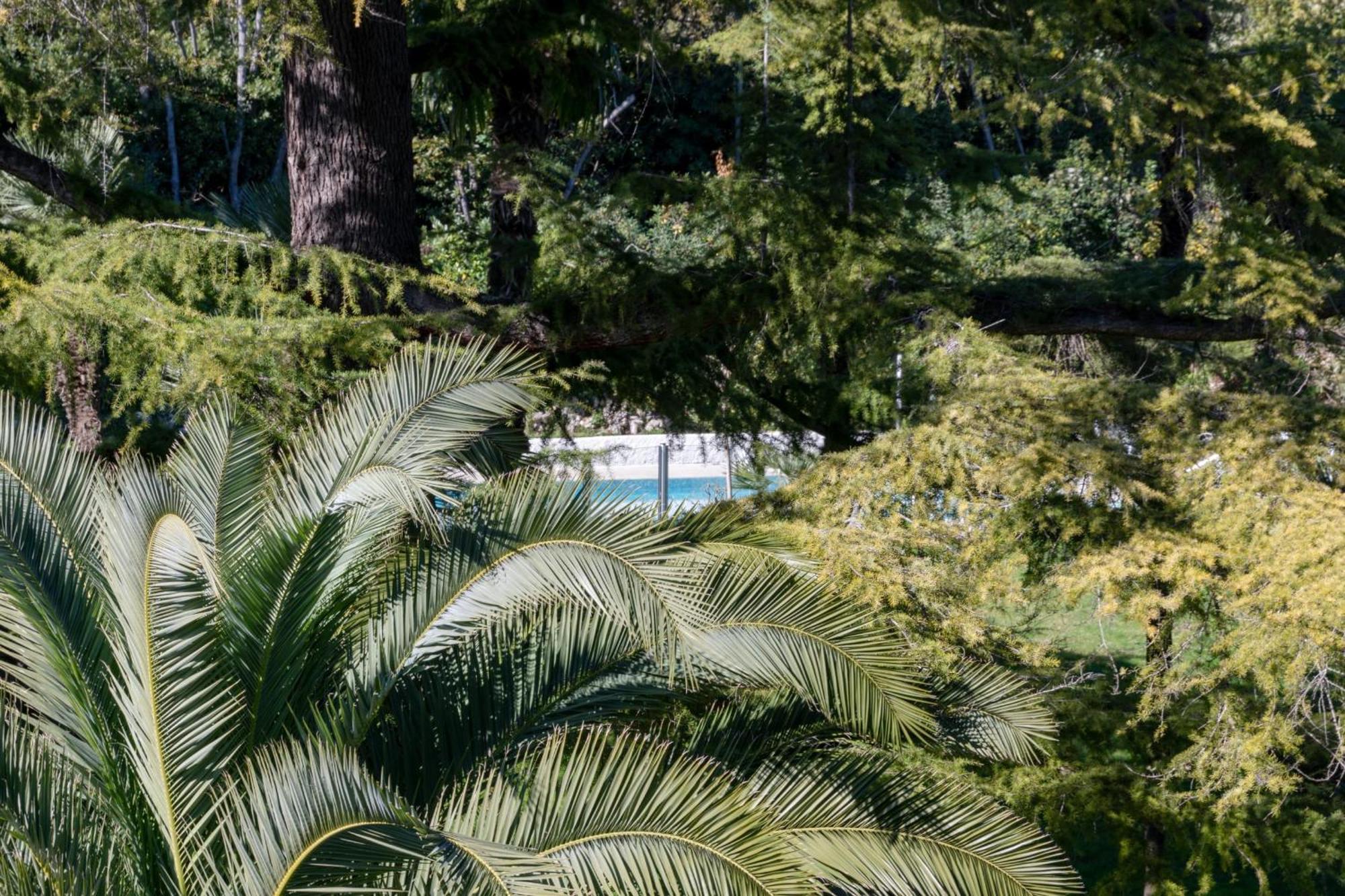 Apartment Spacious 2-br In A With Pool