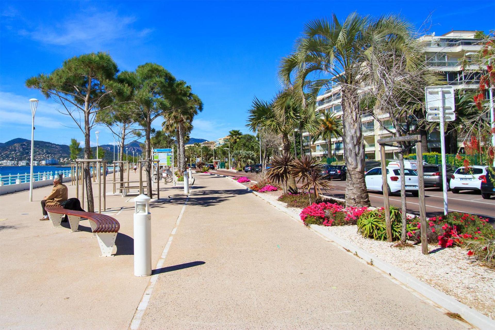 Apartment Cosy Flat With Swimming Pool, Close To And Congress Center Cannes