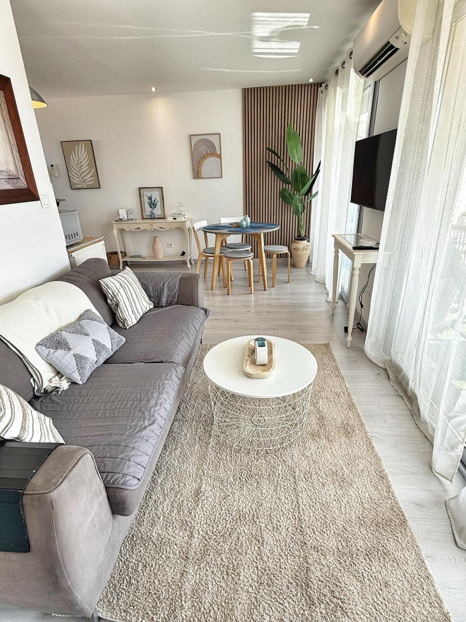 And Festival Palais Apartment Cannes