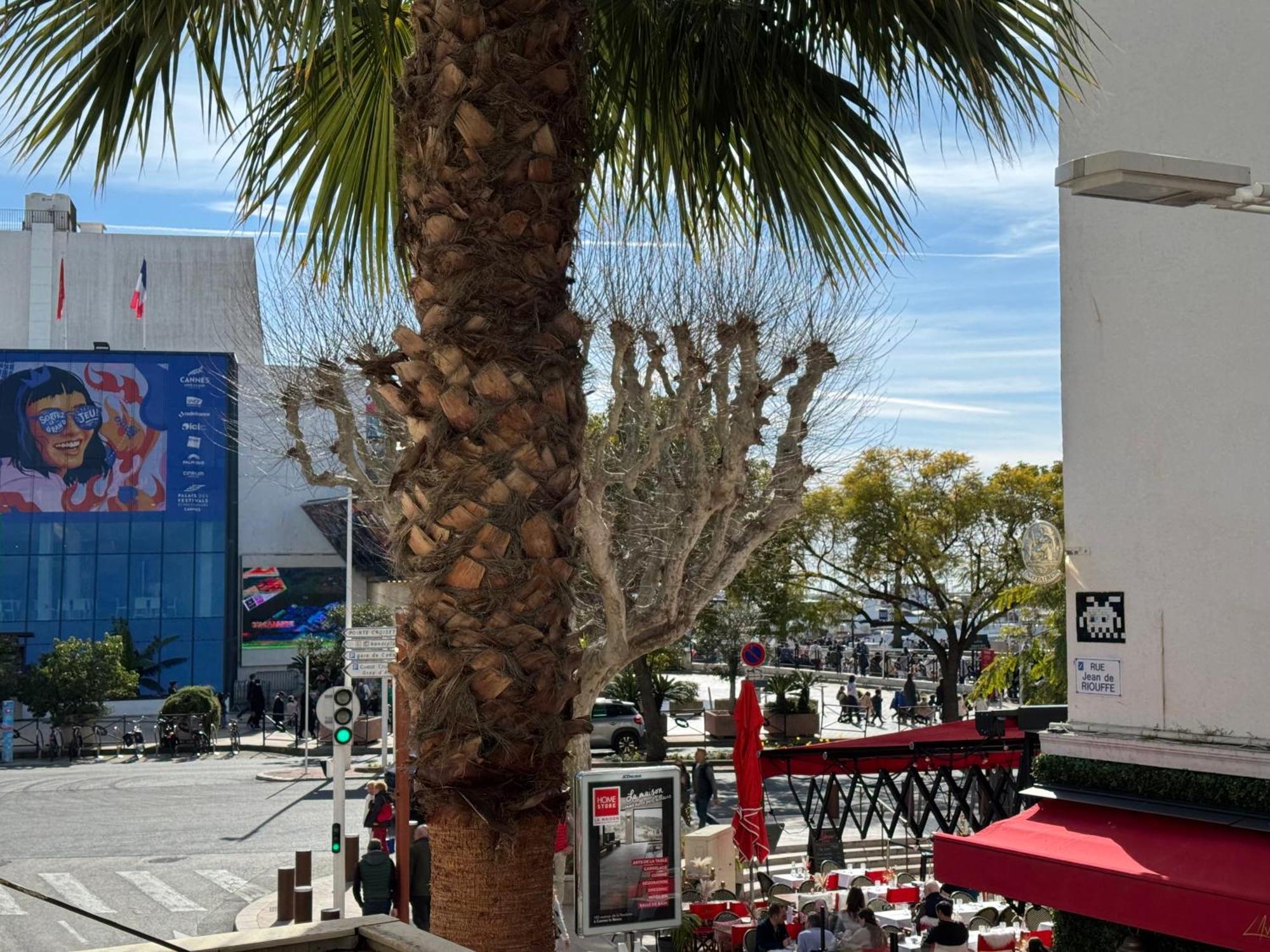 Apartment Cocon Boheme Croisette-palais-plages 200m Cannes