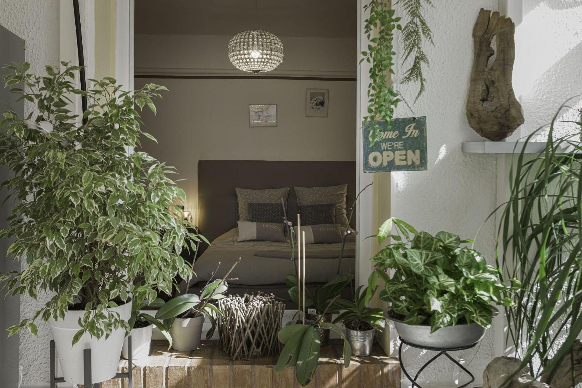 Apartment La Maison Fleurie By Halldis *