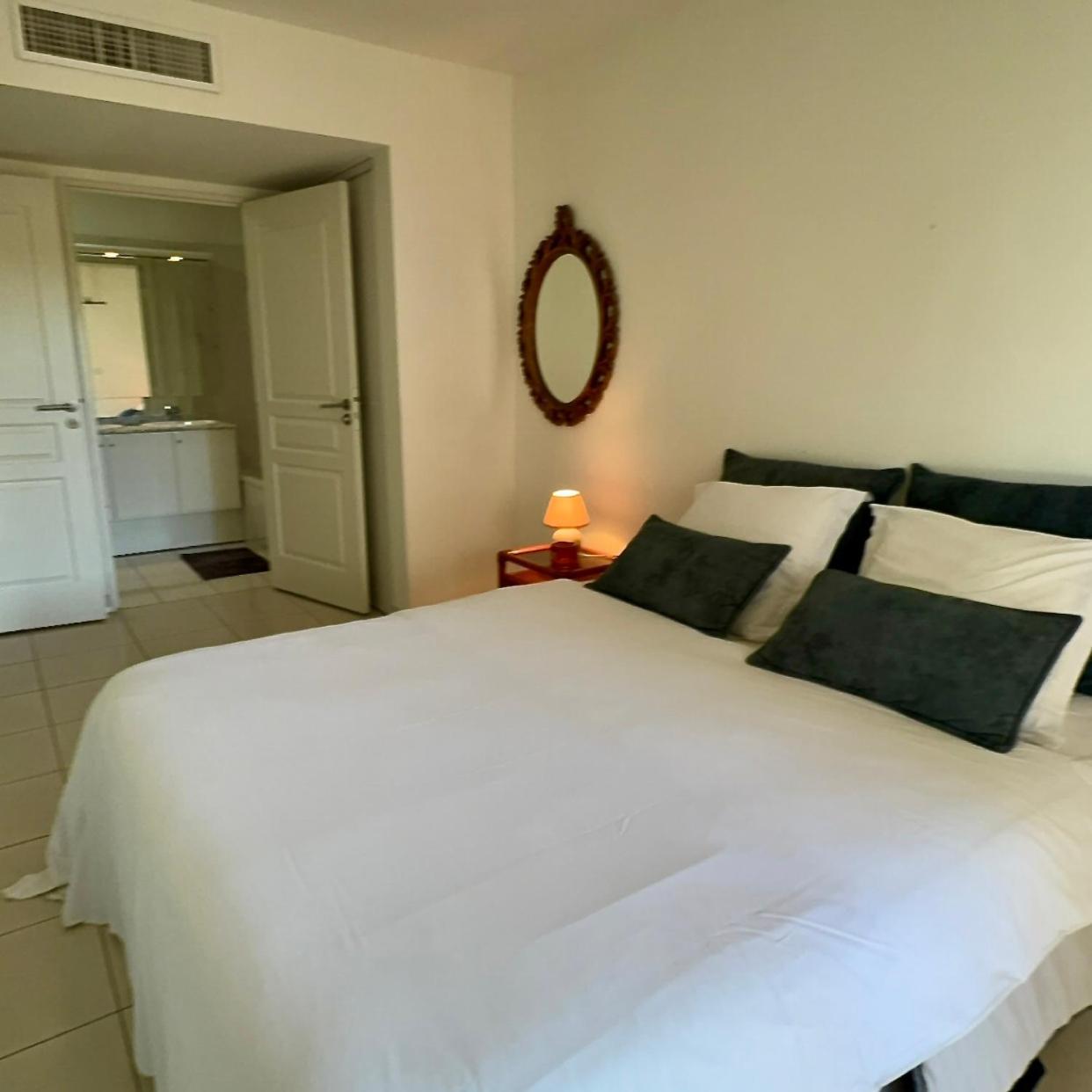 Apartment Spacious Luxury Apt, 12 Min Walk To Croisette And Conf Centre