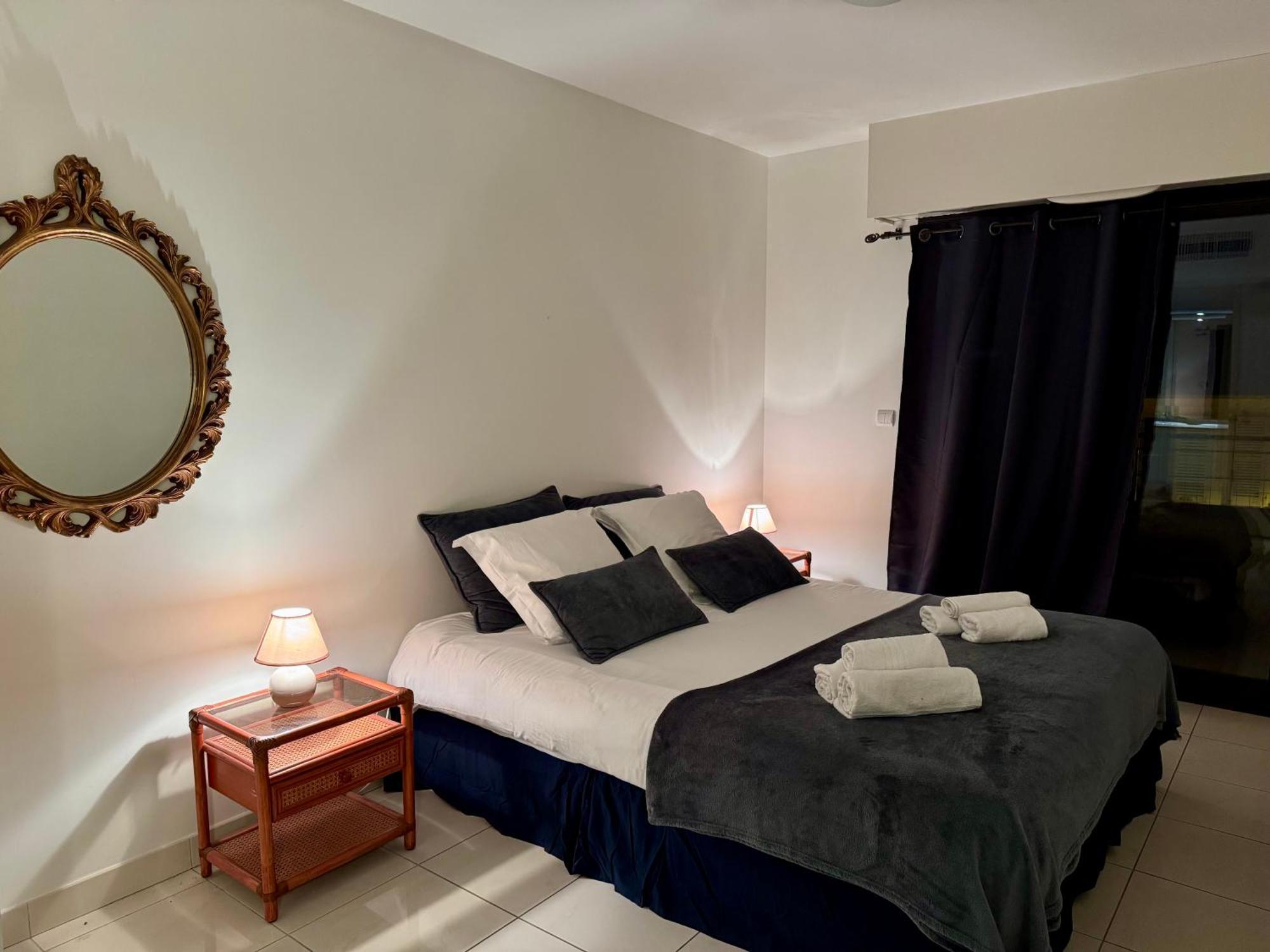 Spacious Luxury Apt, 12 Min Walk To Croisette And Conf Centre Apartment Cannes