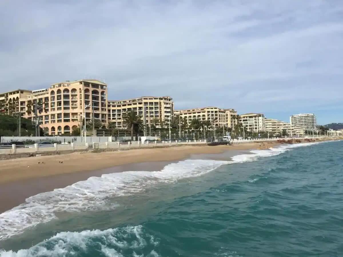 Apartment Le 497