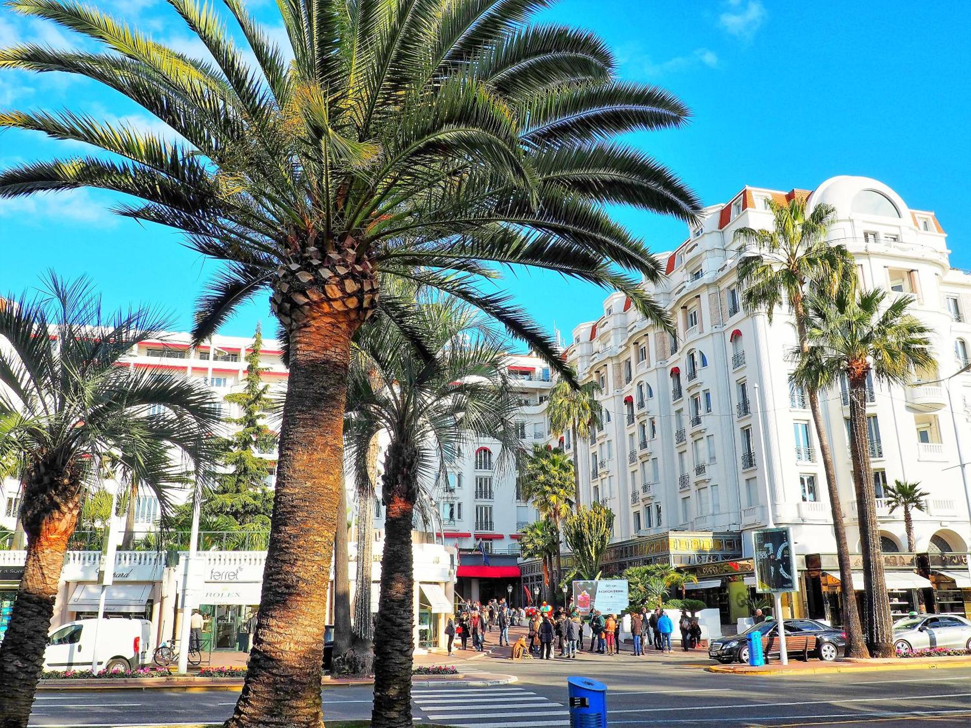 Studio Cannes * Cannes