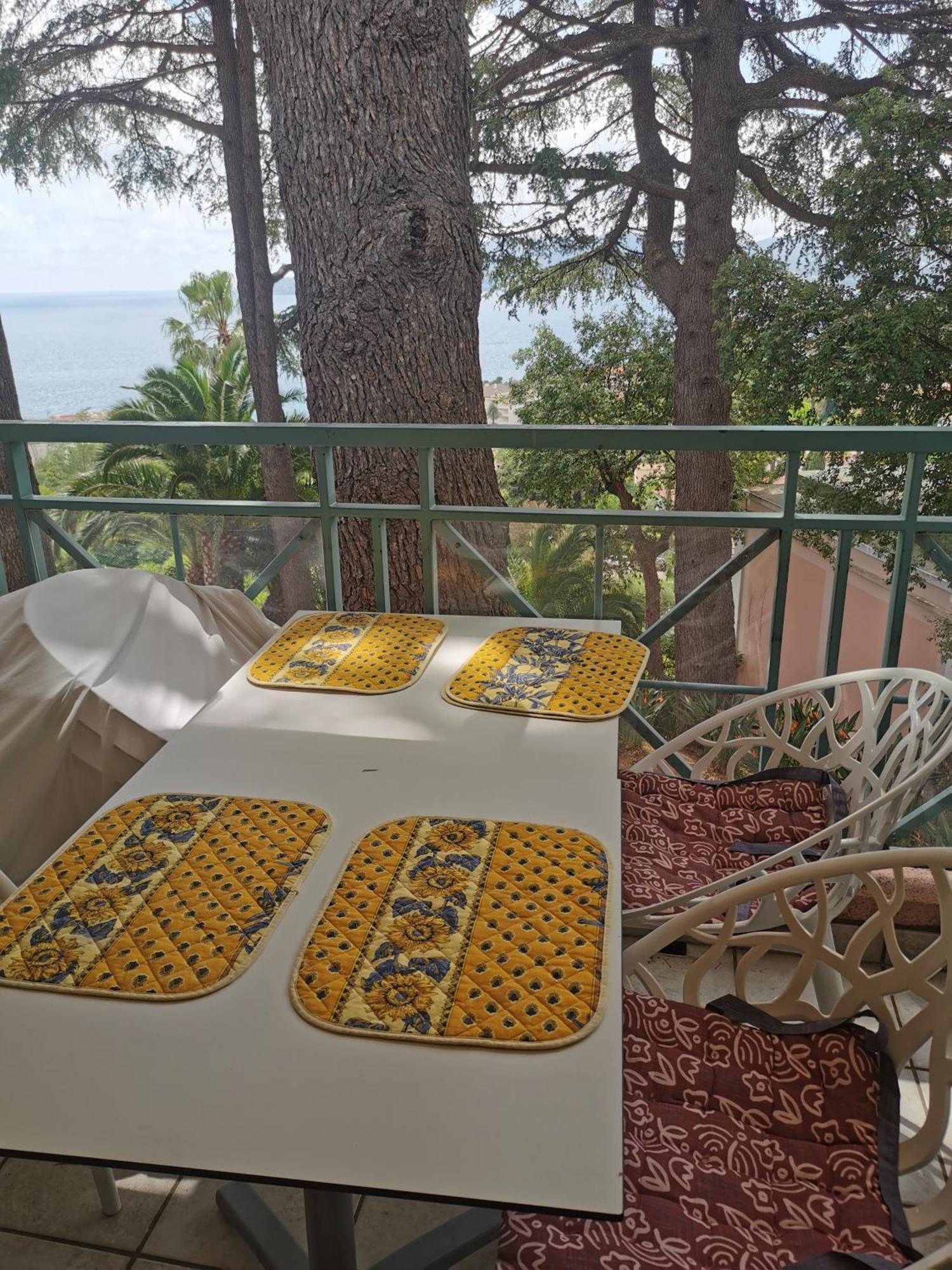 Renove, Piscine A Debordement, Vue * Cannes