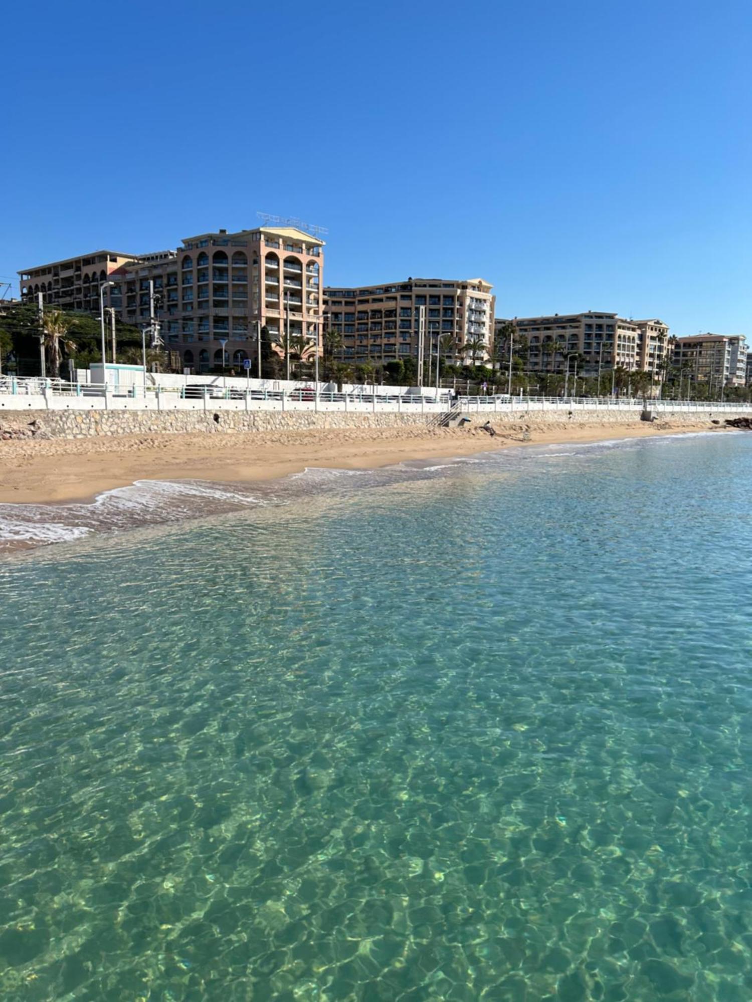 Cannes Apartment Apartment