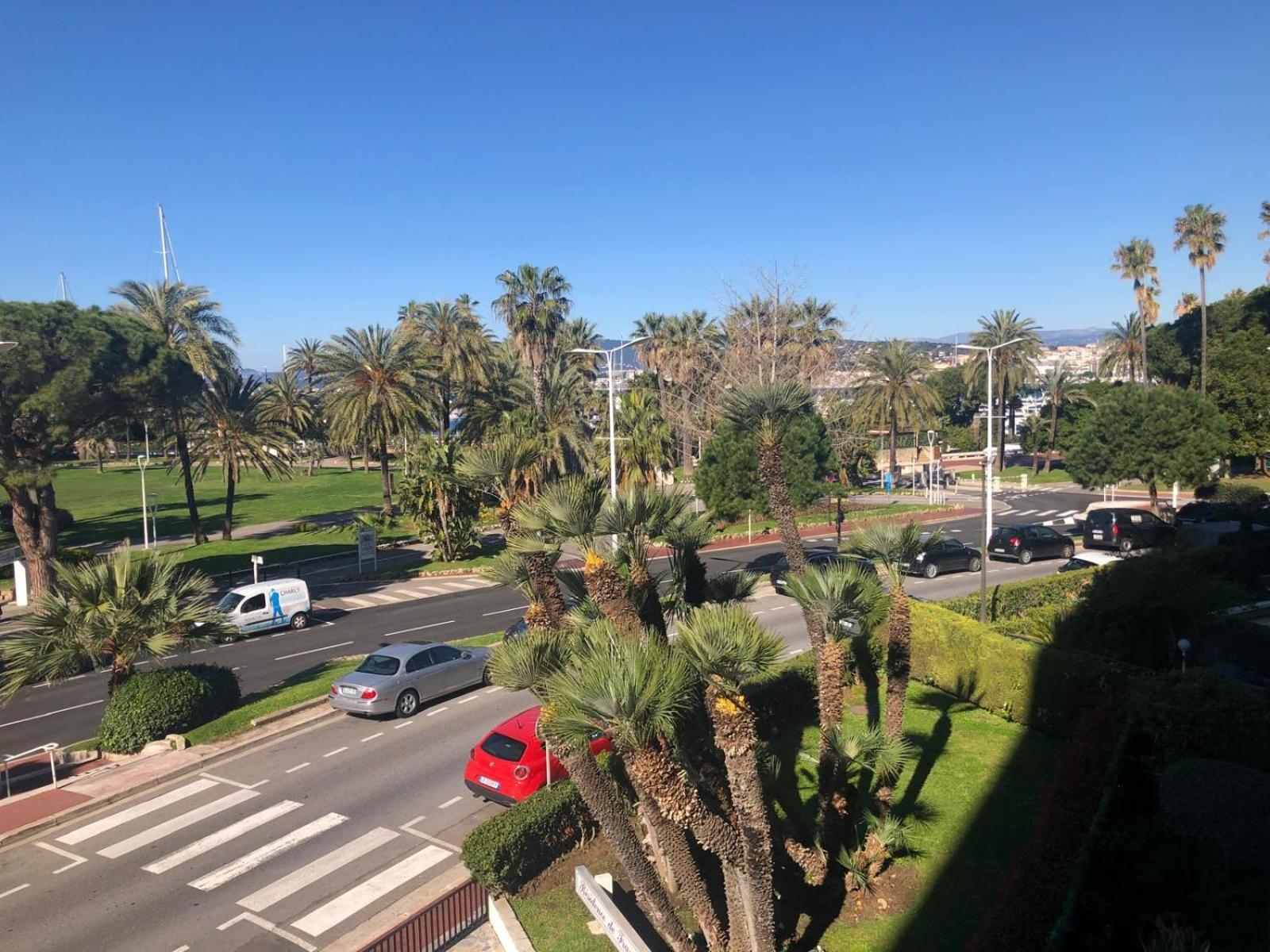 Croisette - Palm