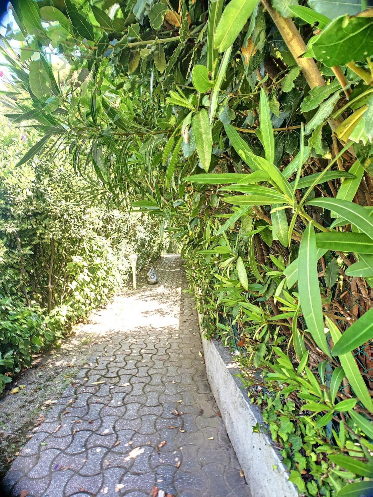 En Duplex 288l Apartment Cannes