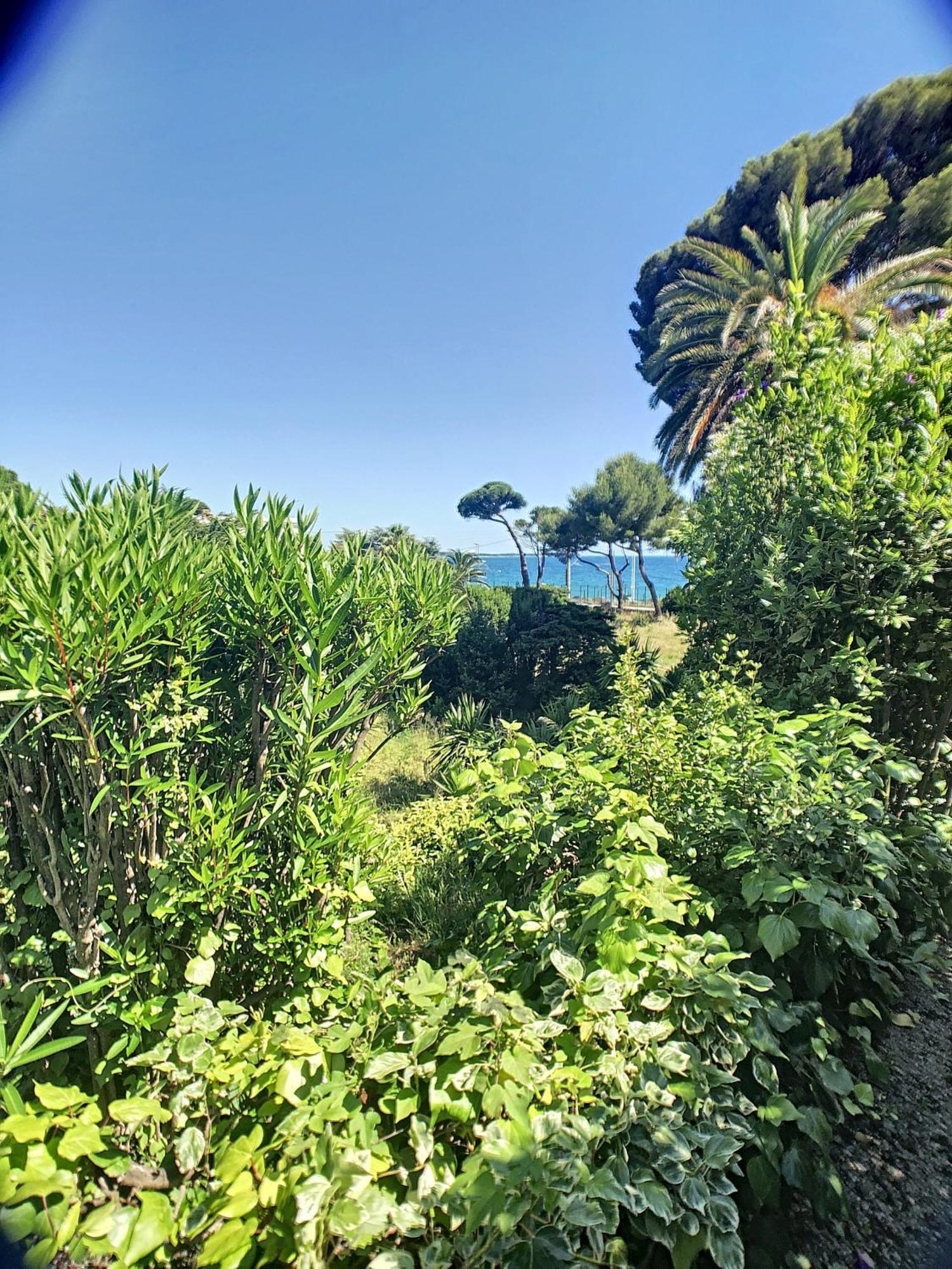 Apartment En Duplex 288l Cannes