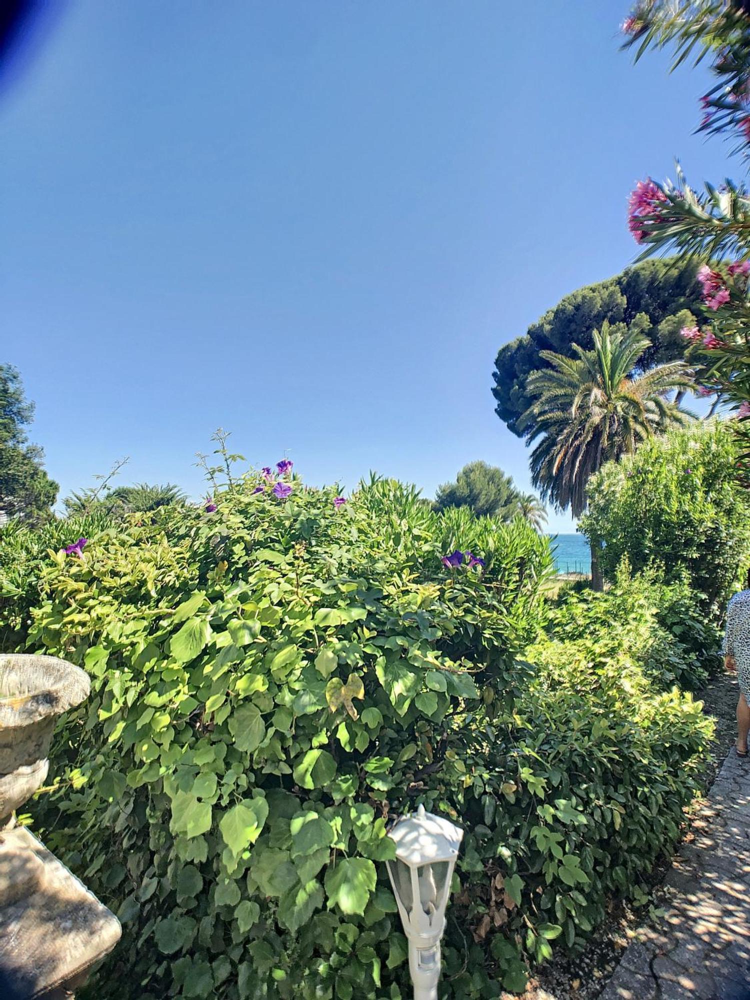 En Duplex 288l Cannes