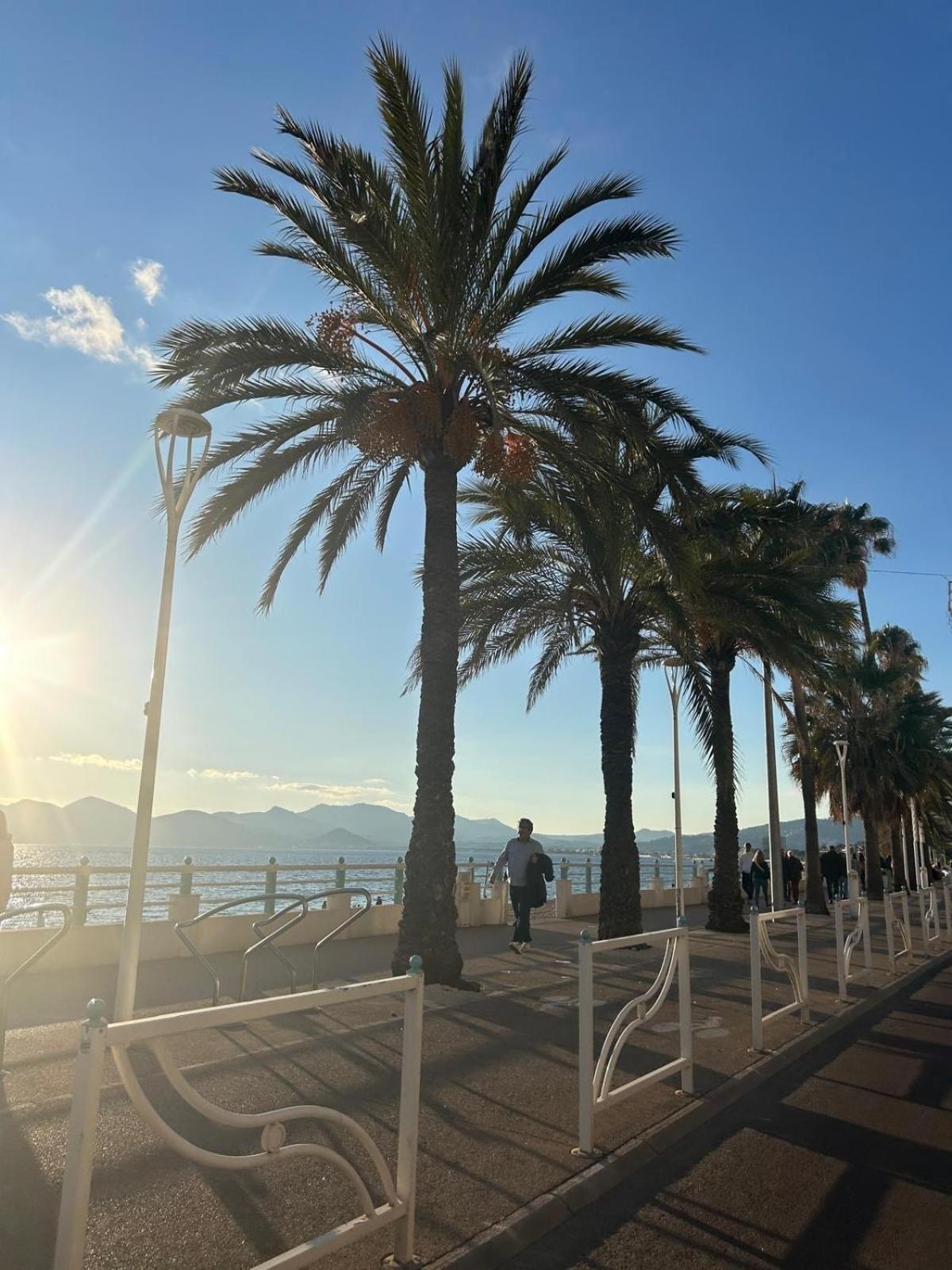 Appartement Elegant 2p Ideal In Cannes