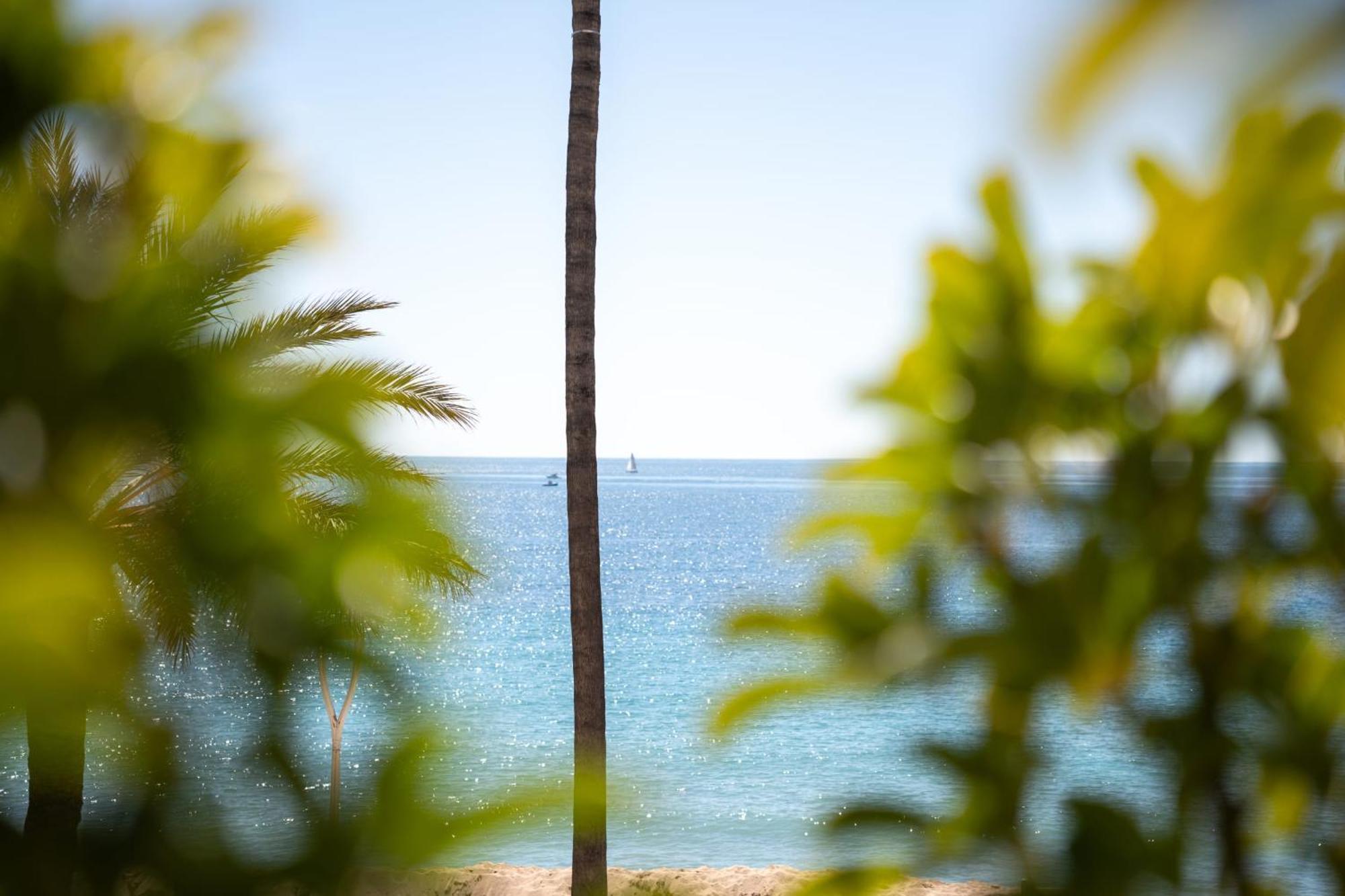 Luxueux Avec Jardin Suspendu Vue 10 Min Du Palais *