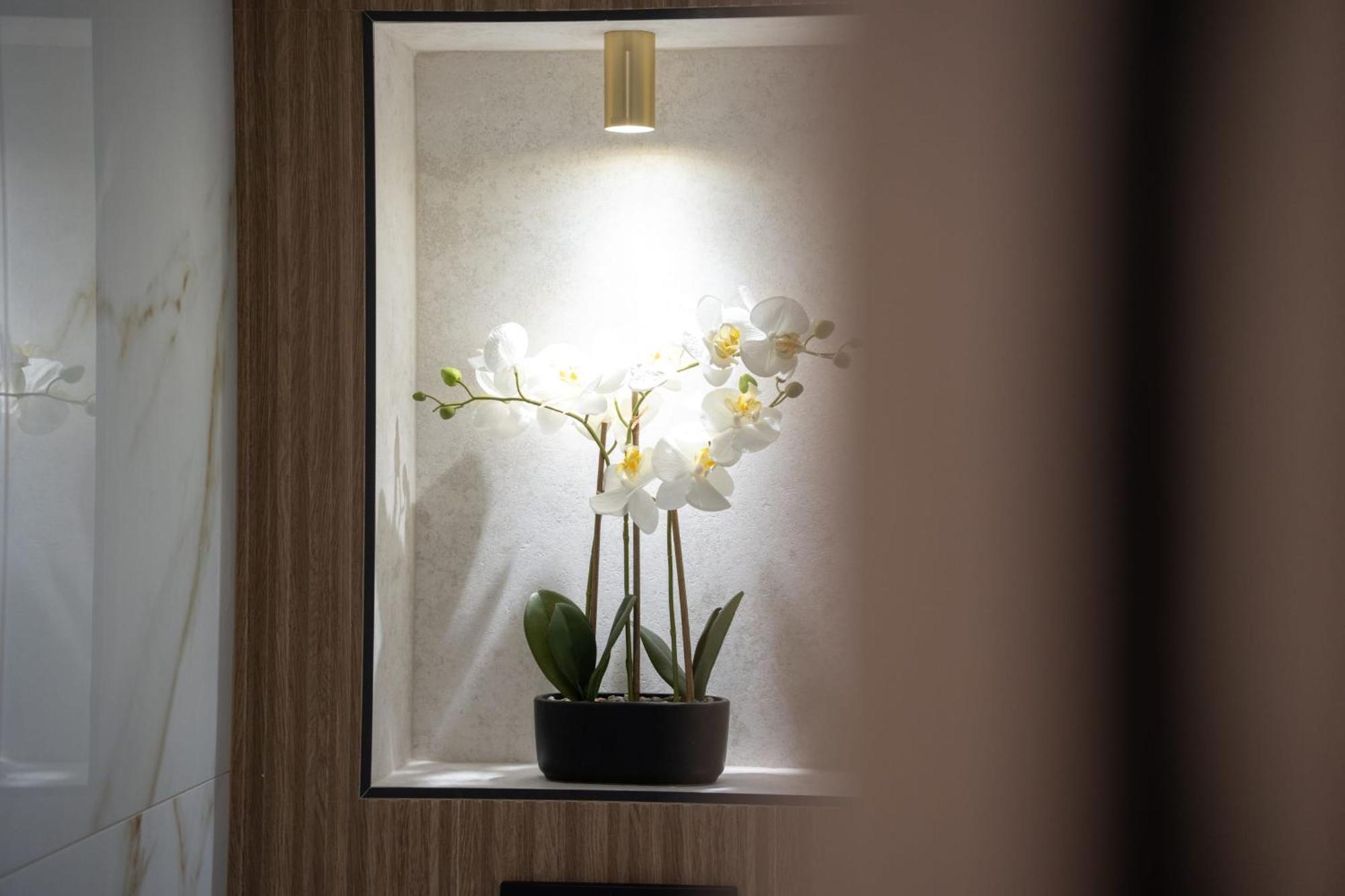 Luxueux Avec Jardin Suspendu Vue 10 Min Du Palais Apartment