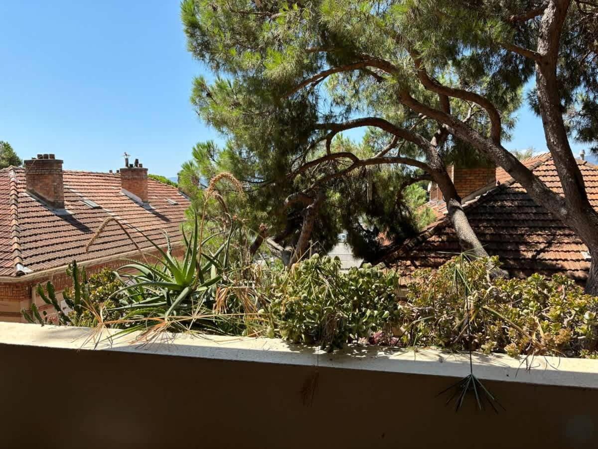 Apartment Le 293