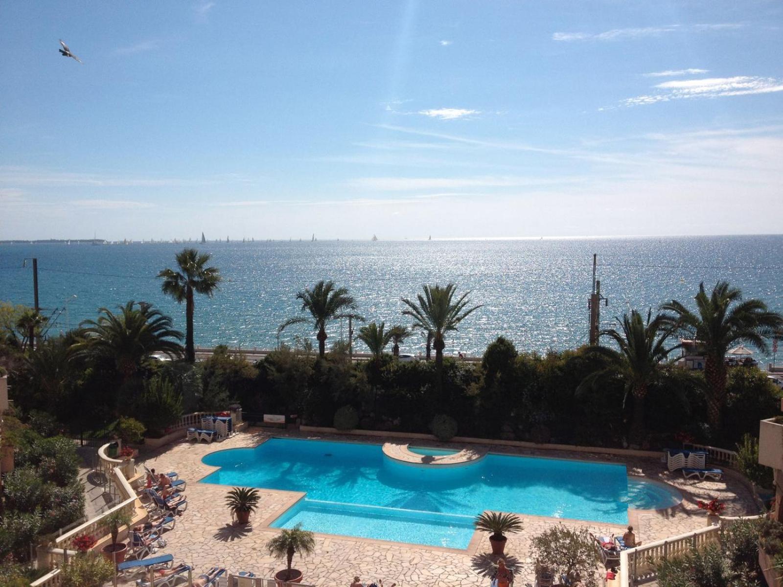 La Palme D'azur *