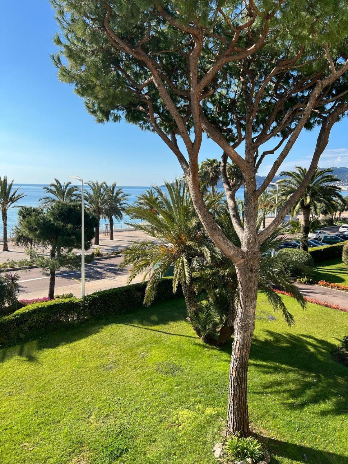 Cnossos Yourhosthelper * Cannes