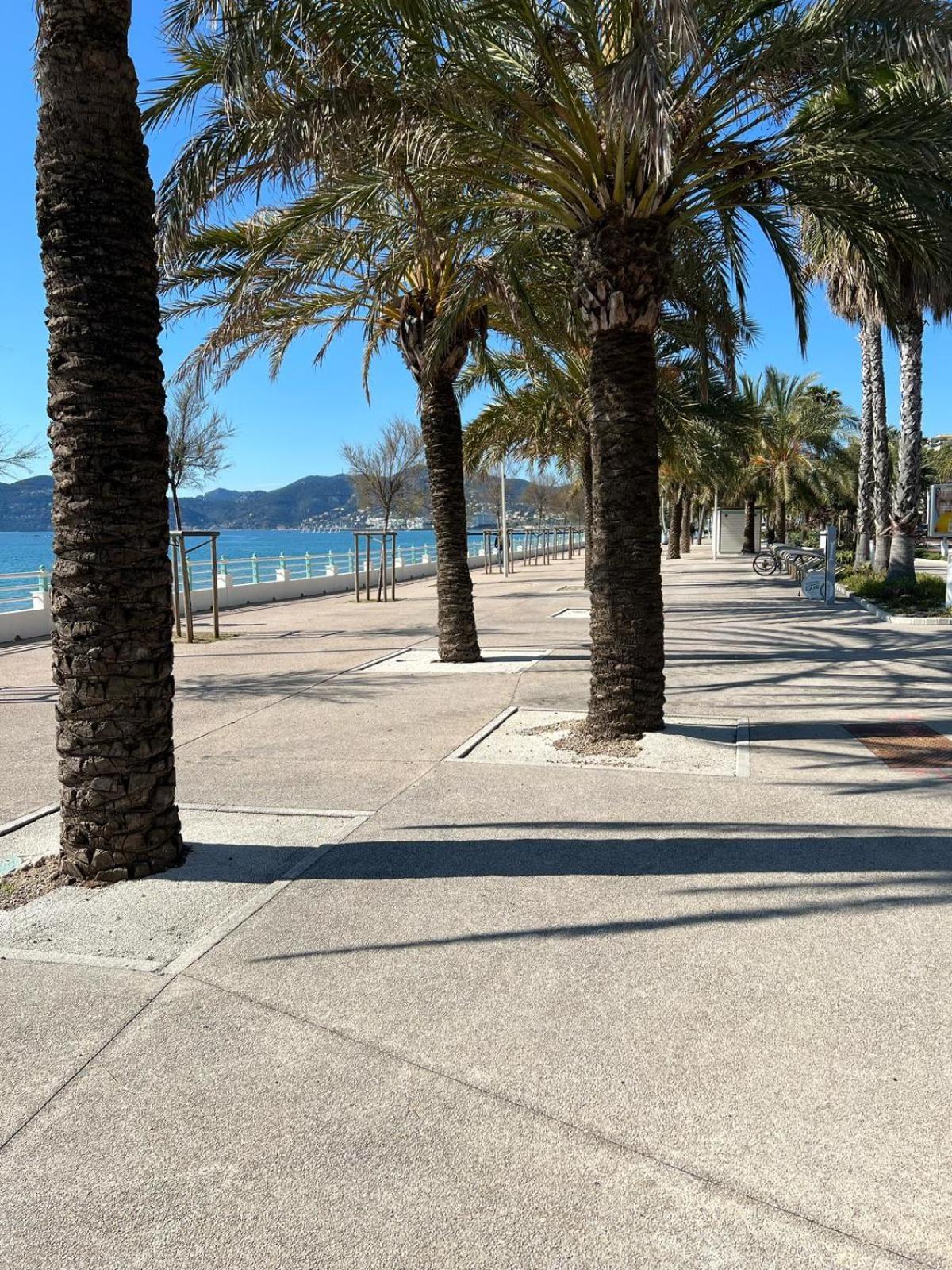Cnossos Yourhosthelper Cannes
