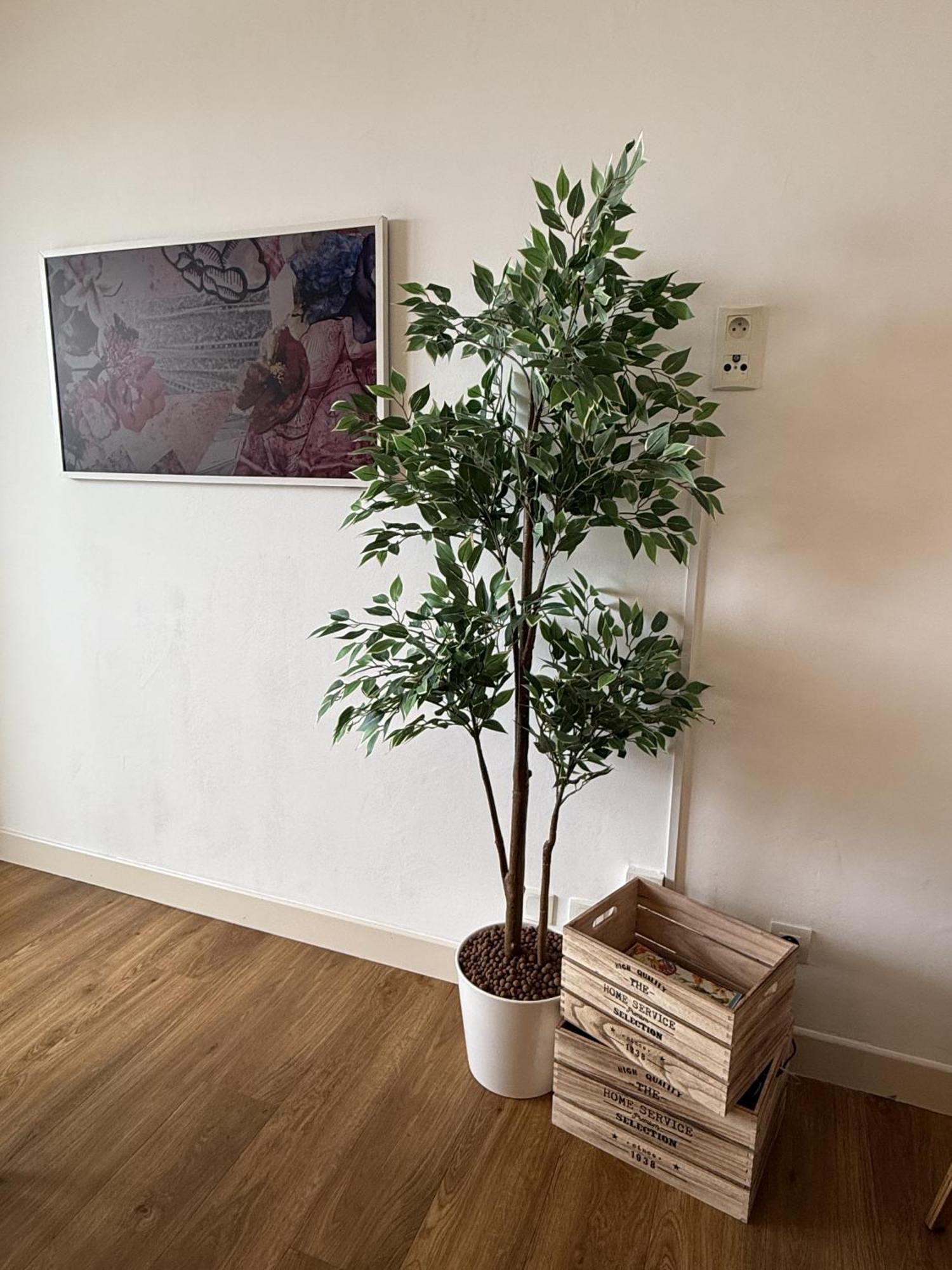 Un Studio De Charme Vue Mer & Piscine D'Exception Appartement *