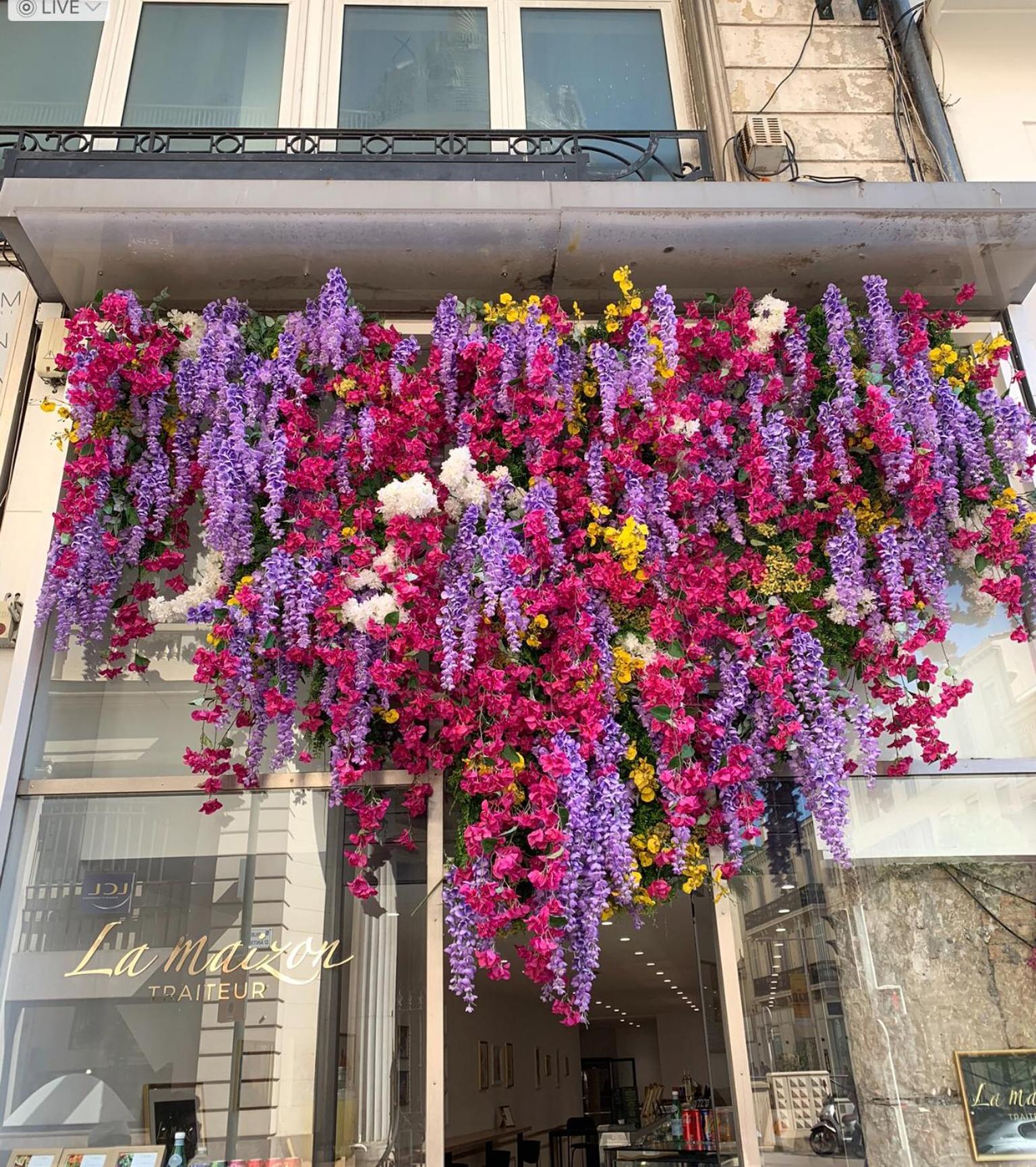 Close To Congress Palace, Croisette, Beaches *