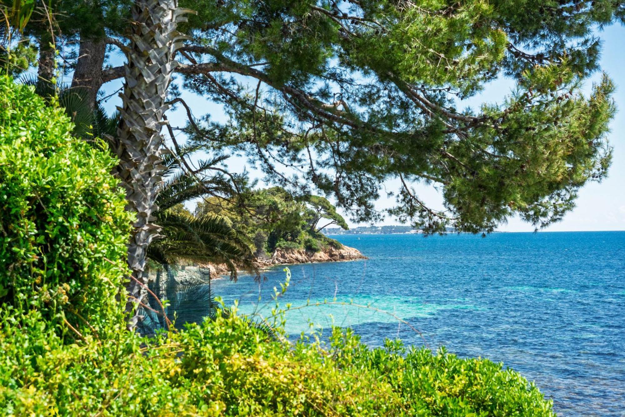 Adriana By Terry's Homes Waterfront Seaview * Cannes