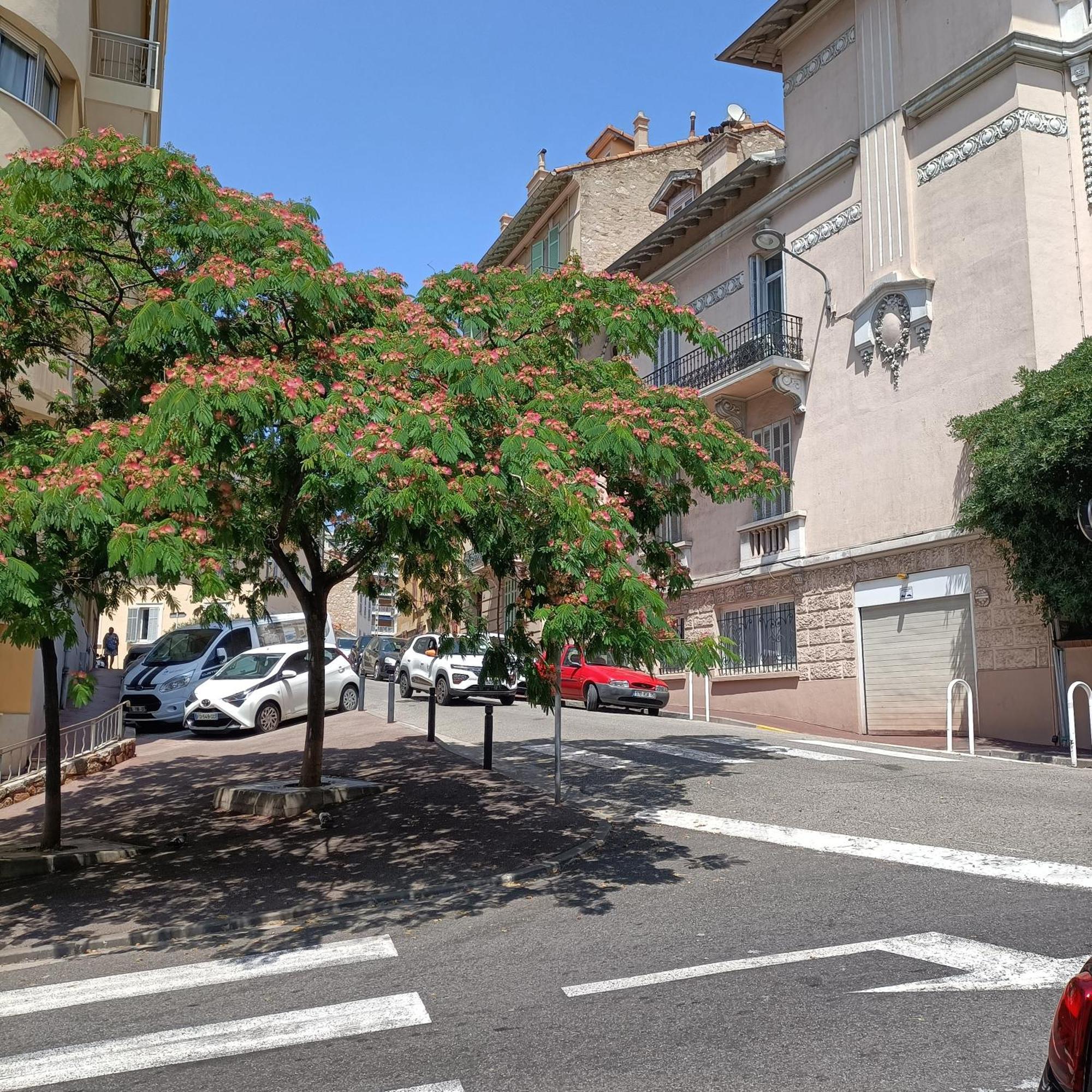 Apartment Le St Nicolas Cannes