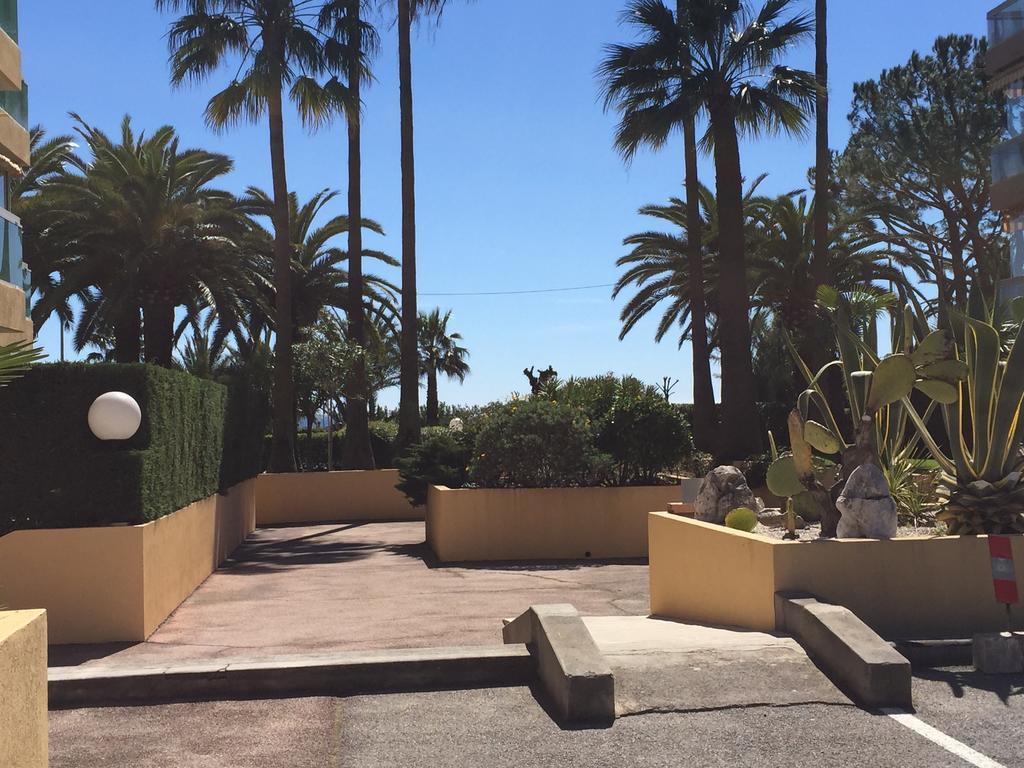 Dionysos Vue * Cannes