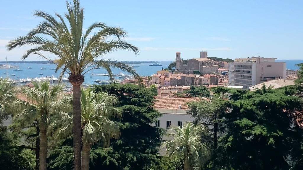 Apartment Mer Et Palmiers Cannes