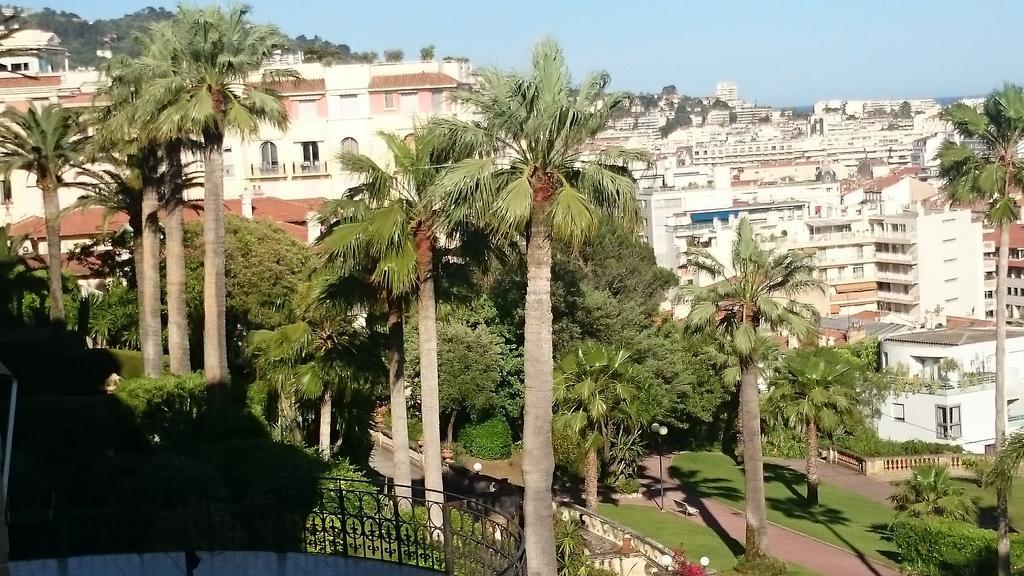 Mer Et Palmiers