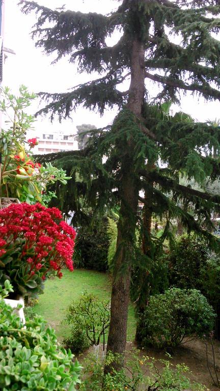 Holiday Or Congress, Centre - Beach Apartment Cannes