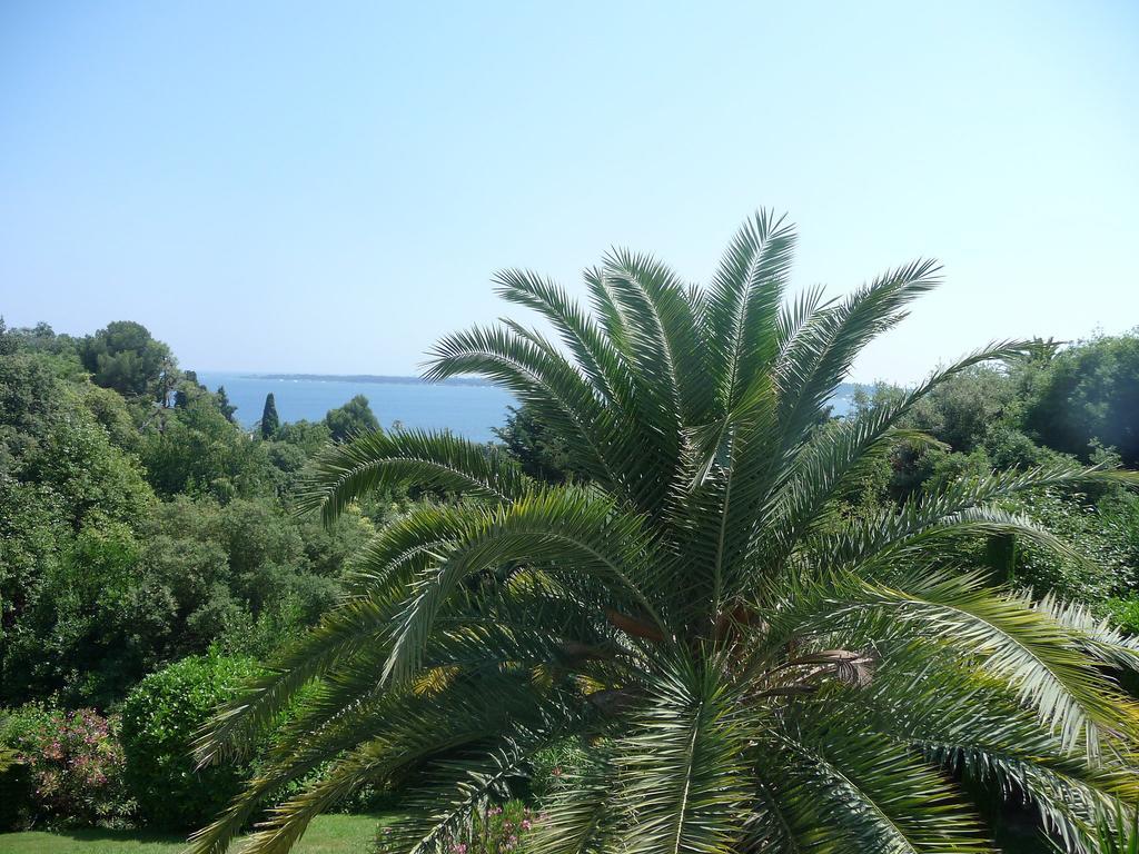 Apartment Le Solvida *