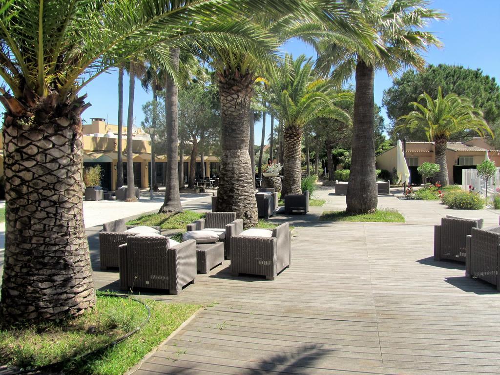 Les Rives De * Cannes