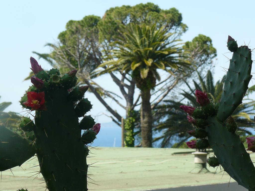 Chantemerle Cannes