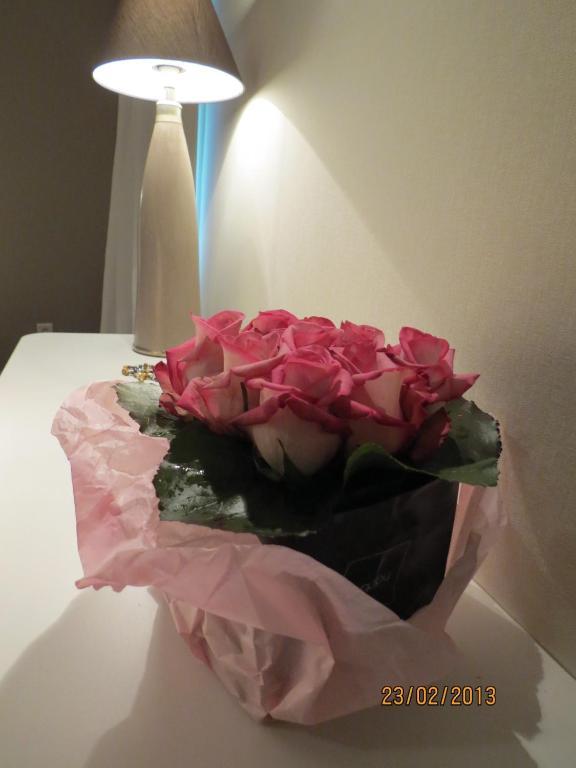Hotel Ligure Cannes