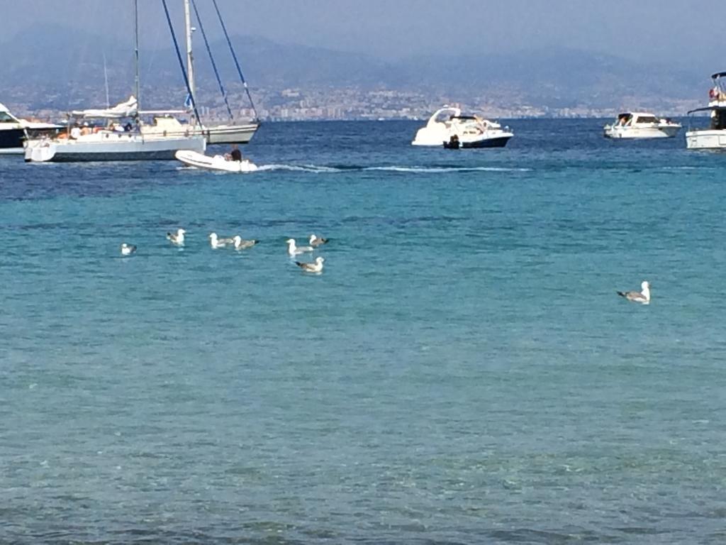 Casa Dade Cannes