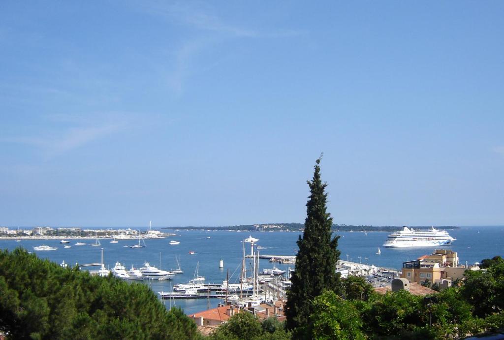 Hotel Avaton Hotel Cannes
