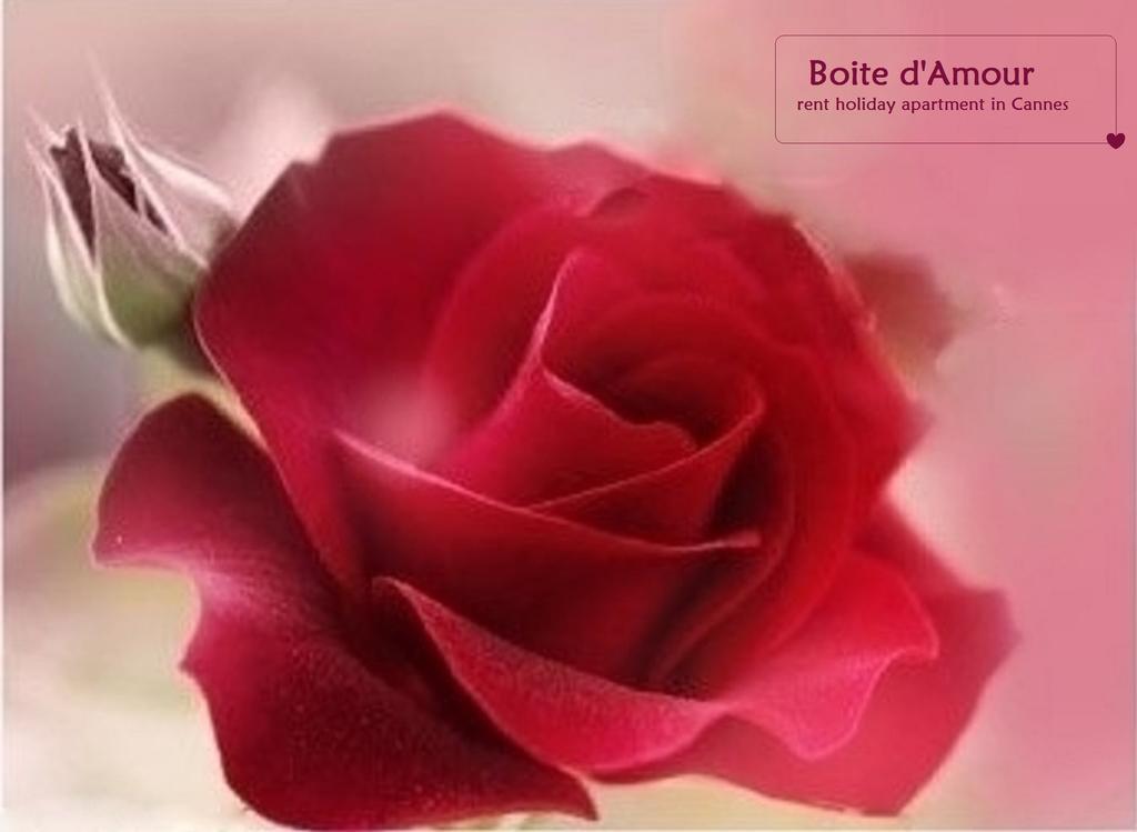 Apartment Boite D'amour Cannes