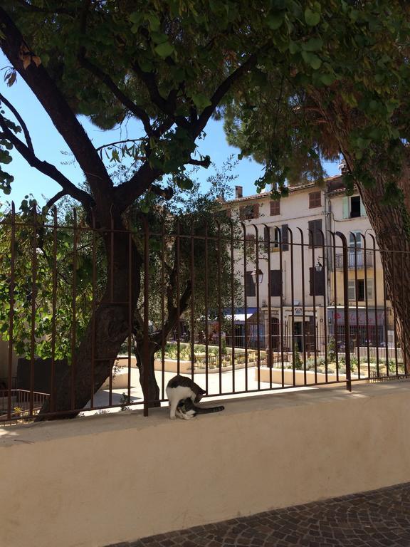 Palme D'hote *