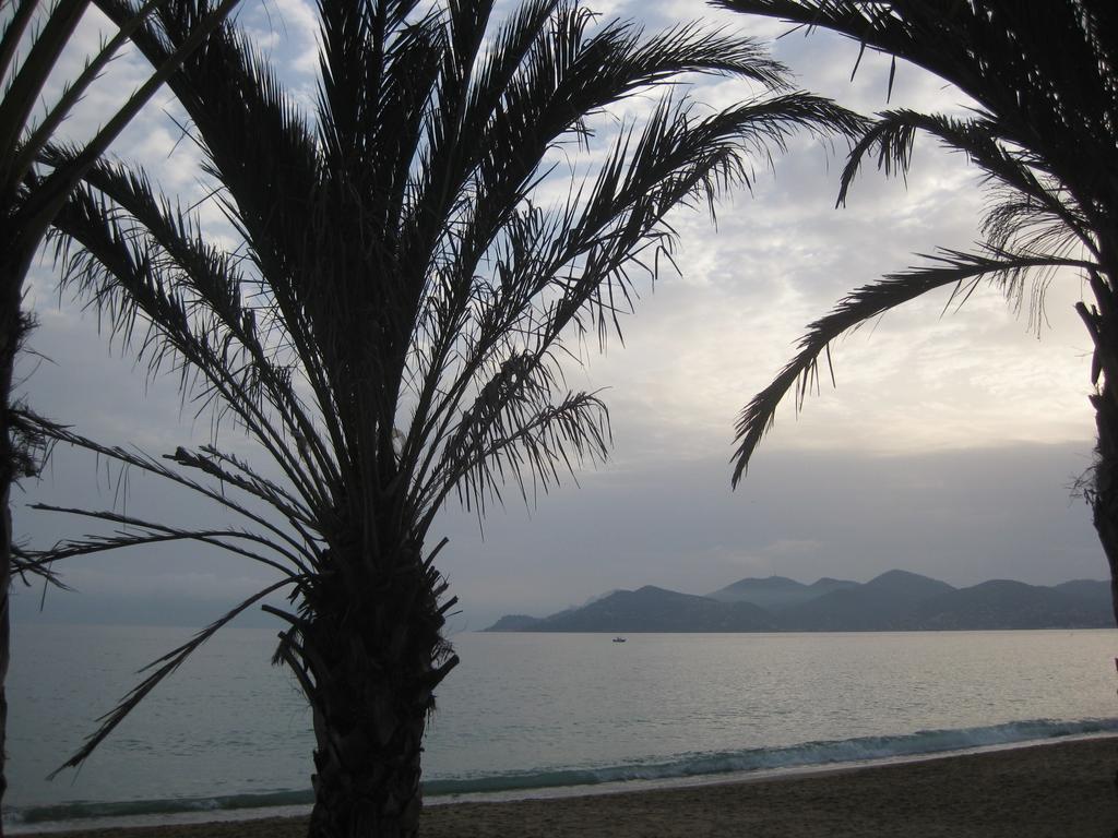 - View Cap Esterel Cannes